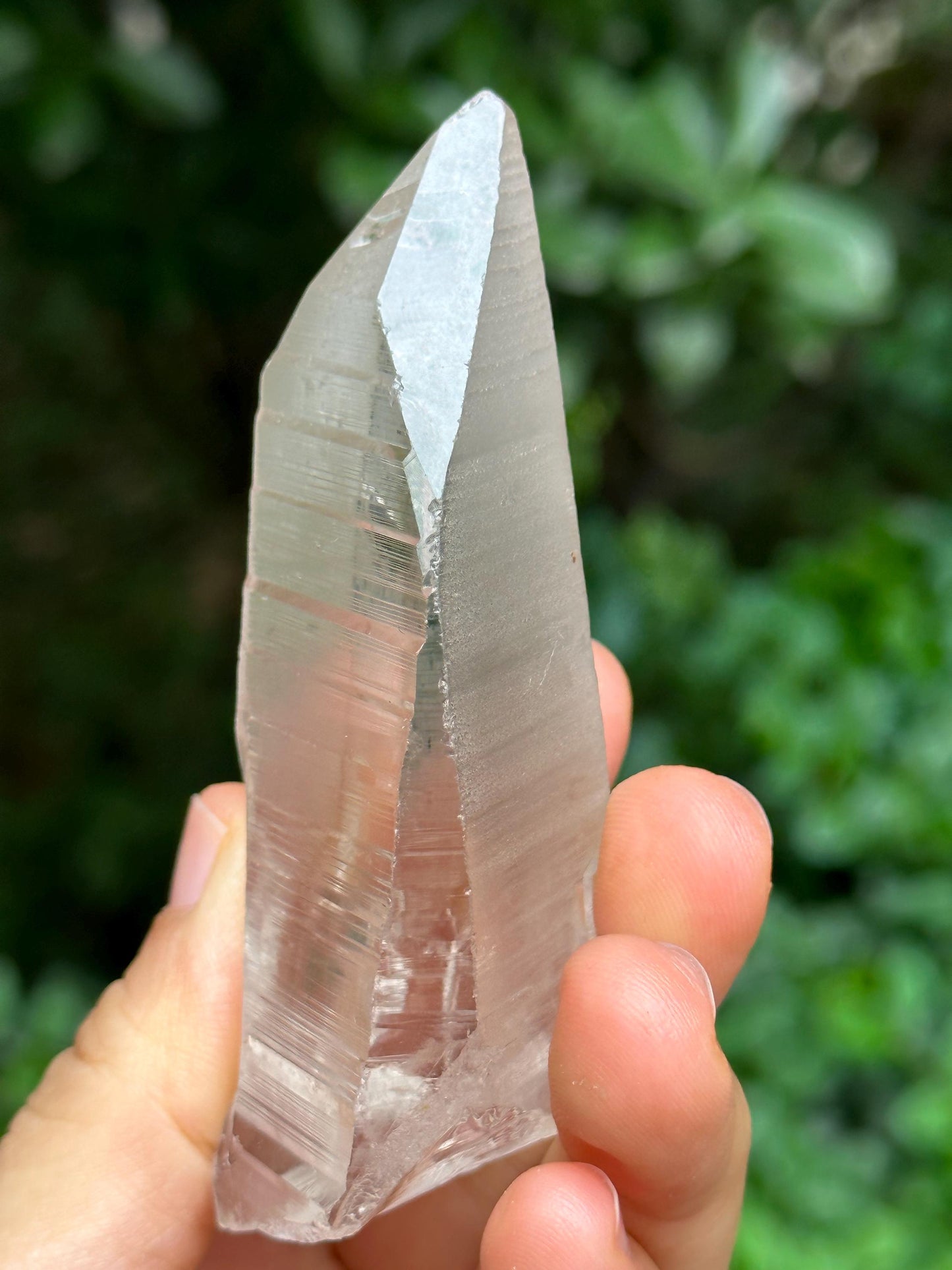 Rare Colombian Clear Lemurian Seeds Quartz Crystal/Clear Akashic Striation Energy Crystal/Reiki/Healing/Meditation-90 g