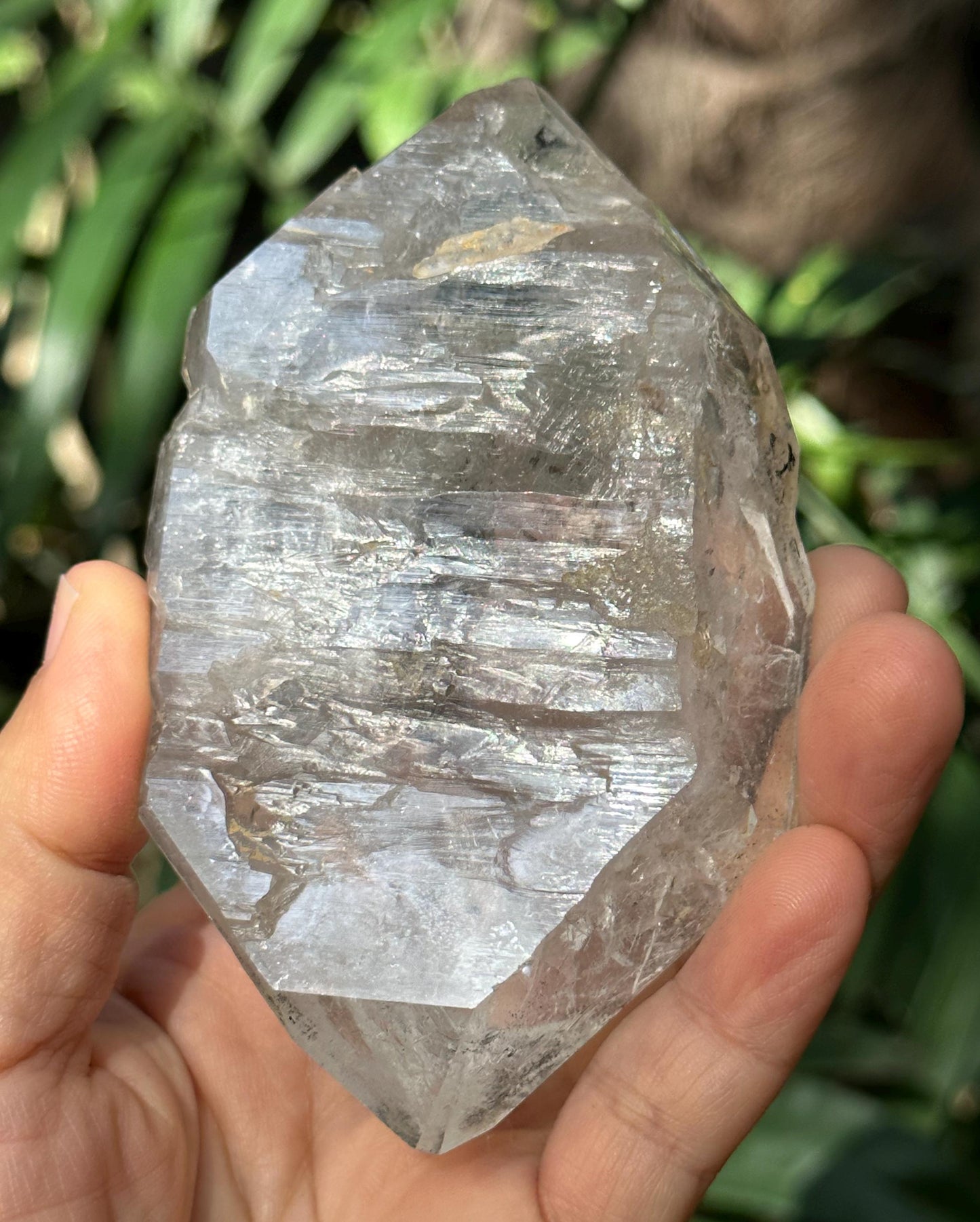 Clear Rainbow Double Terminated Enhydro Quartz Crystal with Carbon Pieces Included/Specimen/Healing/Yungui Crystal-269 g