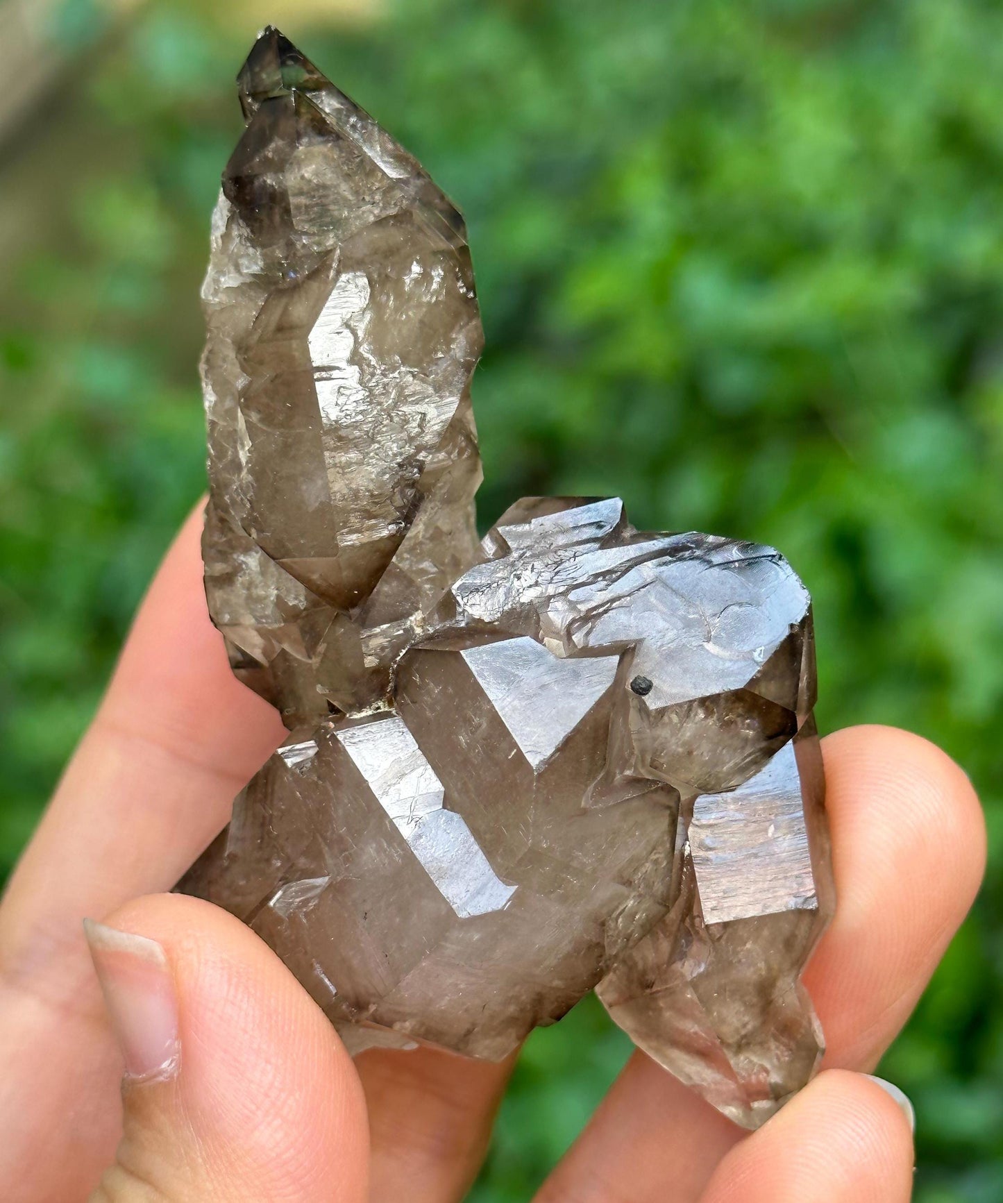 Rare Elestial Double Terminated Smoky Quartz Crystal Cluster/Castle Cathedral Crystal Specimen/Crystal Healing-86 g