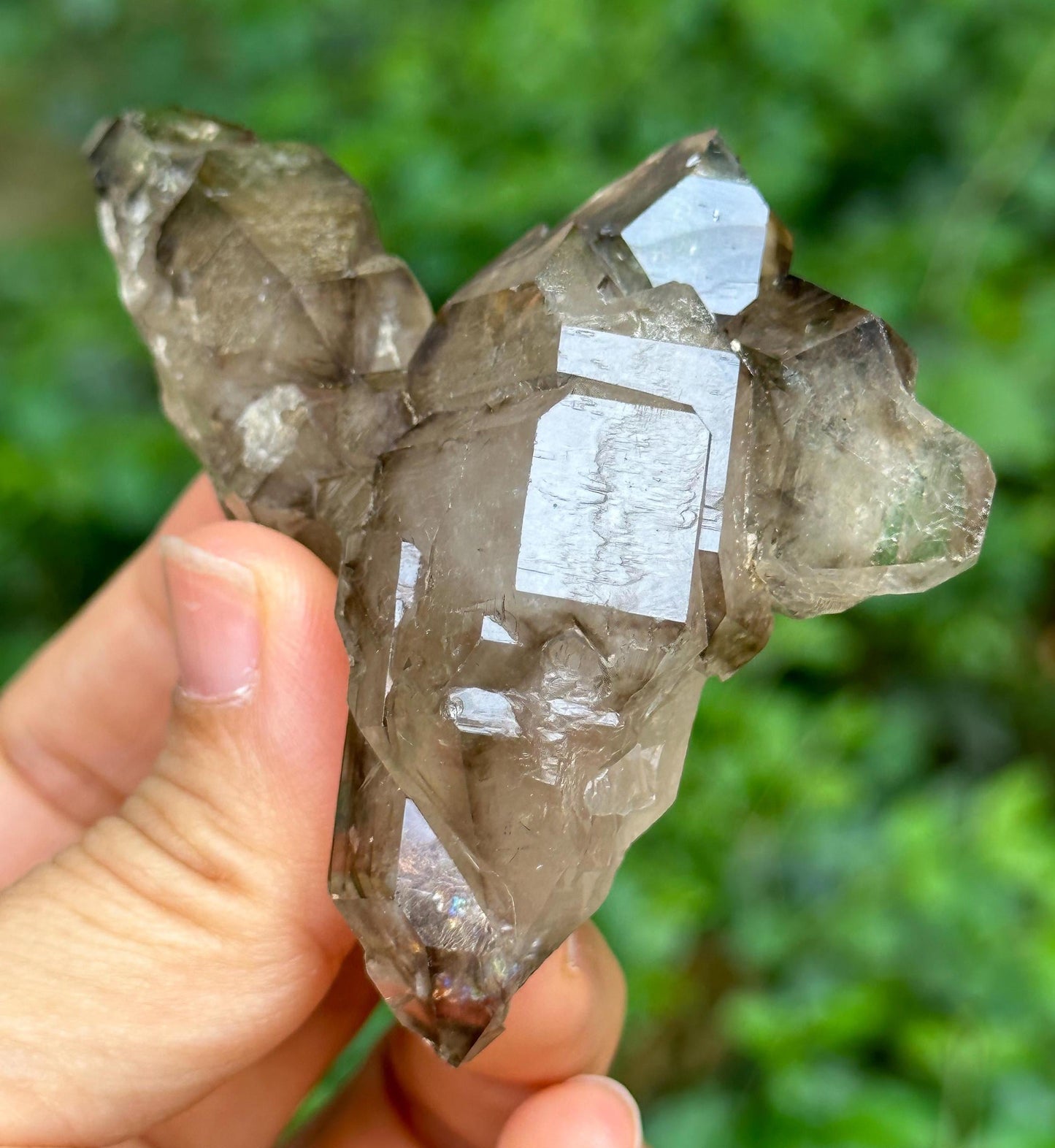 Rare Elestial Double Terminated Smoky Quartz Crystal Cluster/Castle Cathedral Crystal Specimen/Crystal Healing-86 g