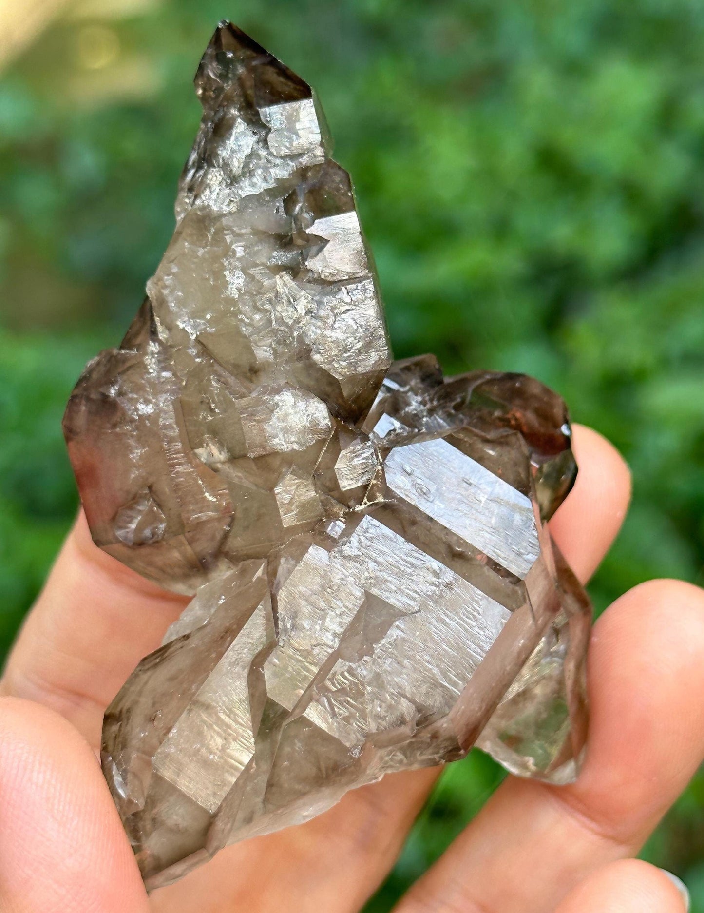 Rare Elestial Double Terminated Smoky Quartz Crystal Cluster/Castle Cathedral Crystal Specimen/Crystal Healing-86 g