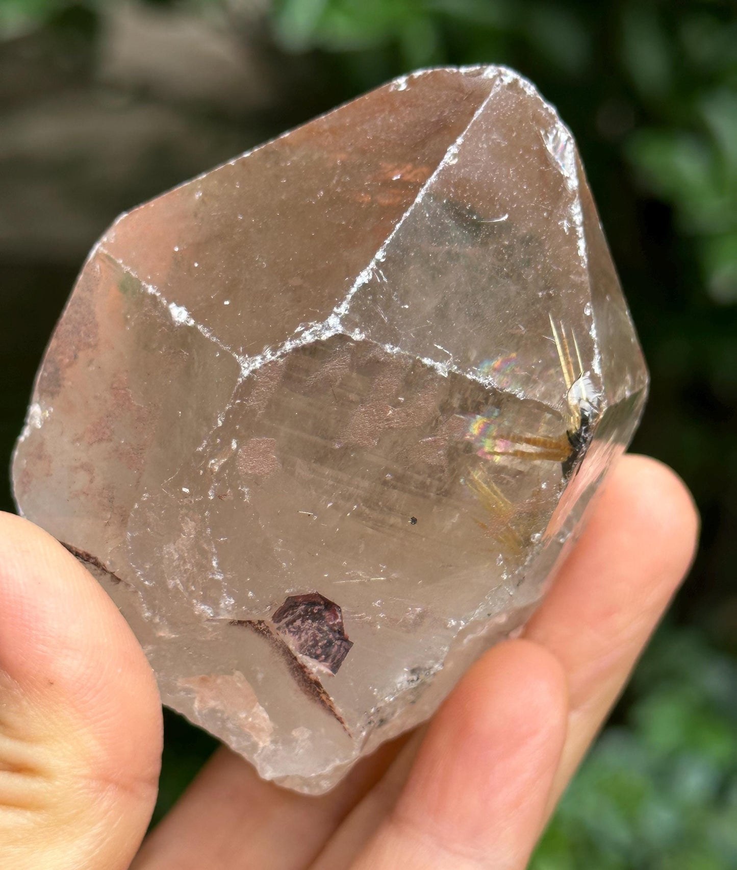 Raw Golden Star Rutile Quartz Crystal Point/Quartz Inclusion/Energy Crystal/Meditation/Healing -173 g