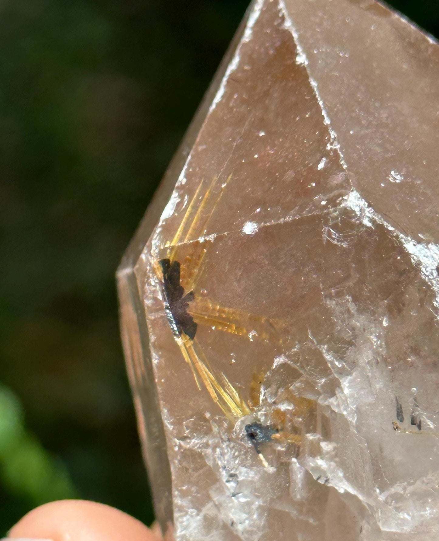 Raw Golden Star Rutile Quartz Crystal Point/Quartz Inclusion/Energy Crystal/Meditation/Healing -173 g