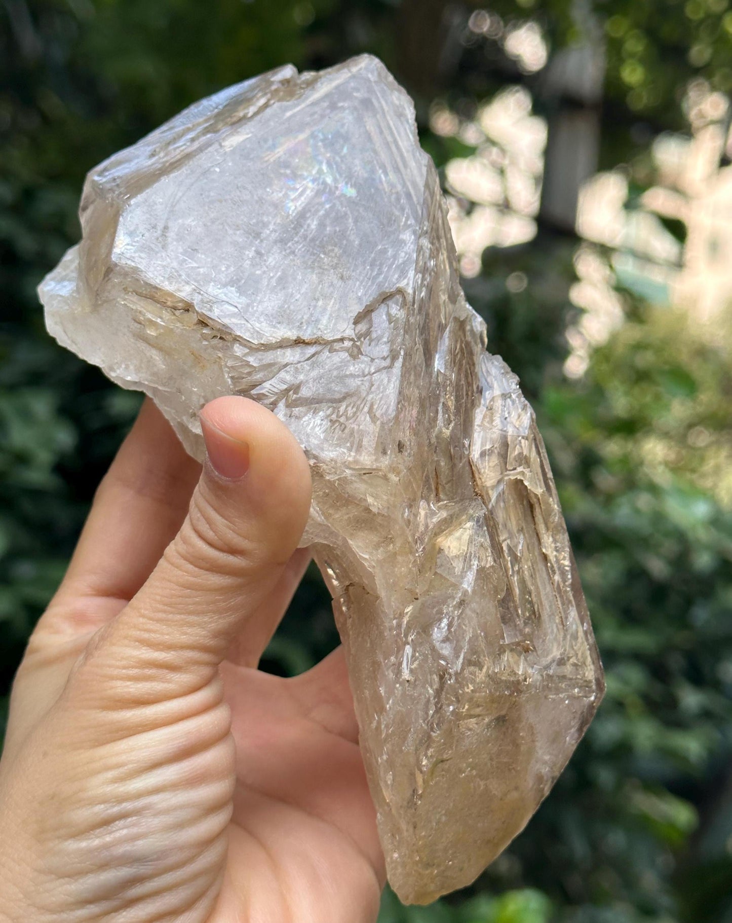 Rare Himalayan Rainbow Enhydro Skeletal Fenster Quartz Crystal Point With Golden Clay/Specimen/Super Energy Healing Crystals/Reiki-736 g