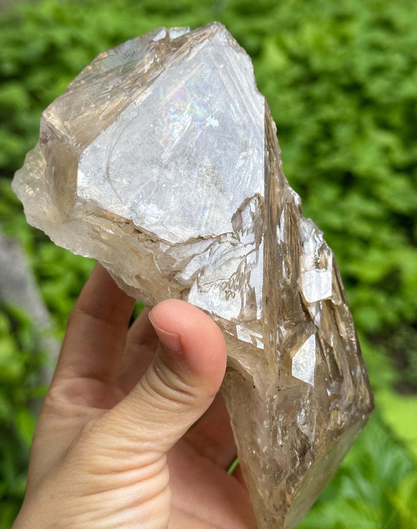 Rare Himalayan Rainbow Enhydro Skeletal Fenster Quartz Crystal Point With Golden Clay/Specimen/Super Energy Healing Crystals/Reiki-736 g