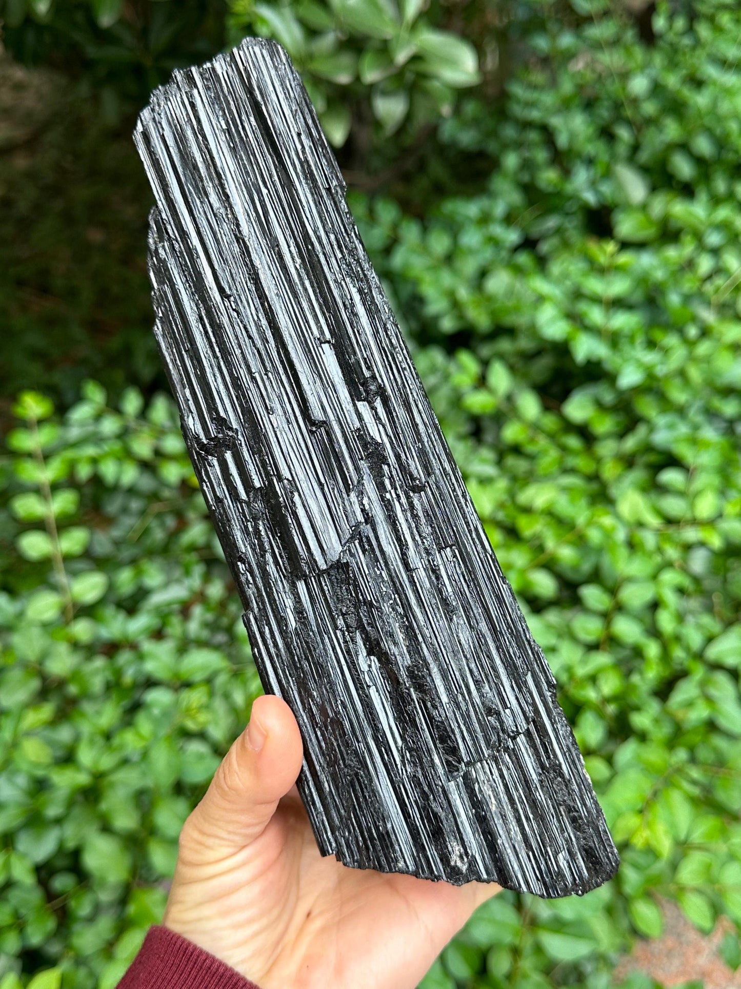 9.4" EXTRA LONG Raw Black Tourmaline Crystal/Shining Tourmaline Specimen/Rough Tourmaline Specimen/Collection/Meditation/Healing-1588 g