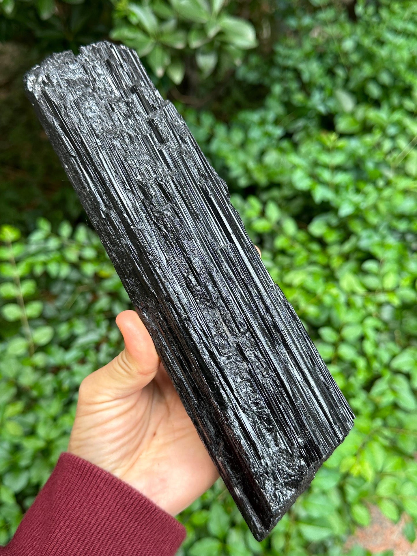 9.4" EXTRA LONG Raw Black Tourmaline Crystal/Shining Tourmaline Specimen/Rough Tourmaline Specimen/Collection/Meditation/Healing-1588 g