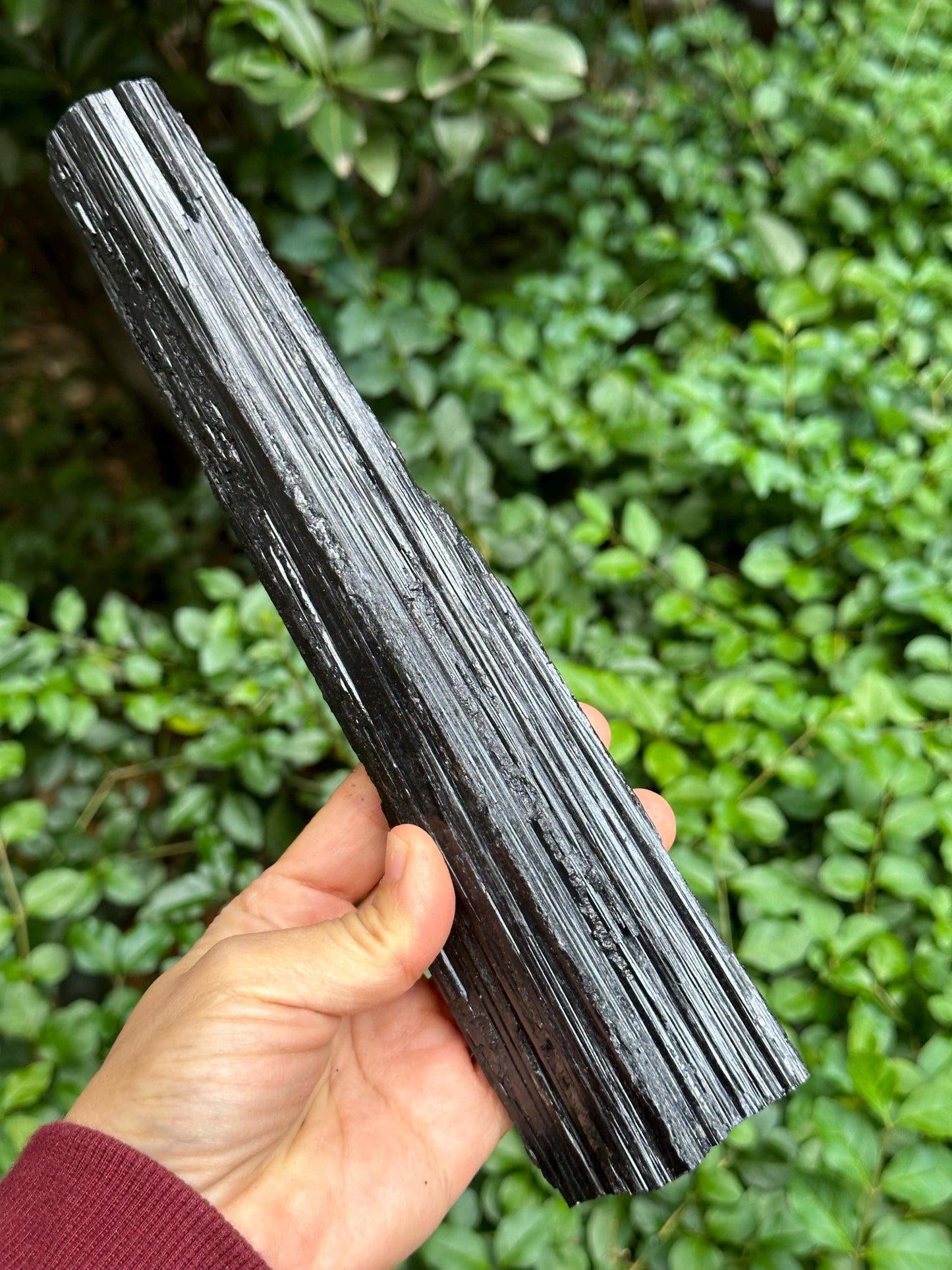 9.5" EXTRA LONG Raw Black Tourmaline Crystal/Shining Tourmaline Specimen/Rough Tourmaline Specimen/Collection/Meditation/Healing-699  g