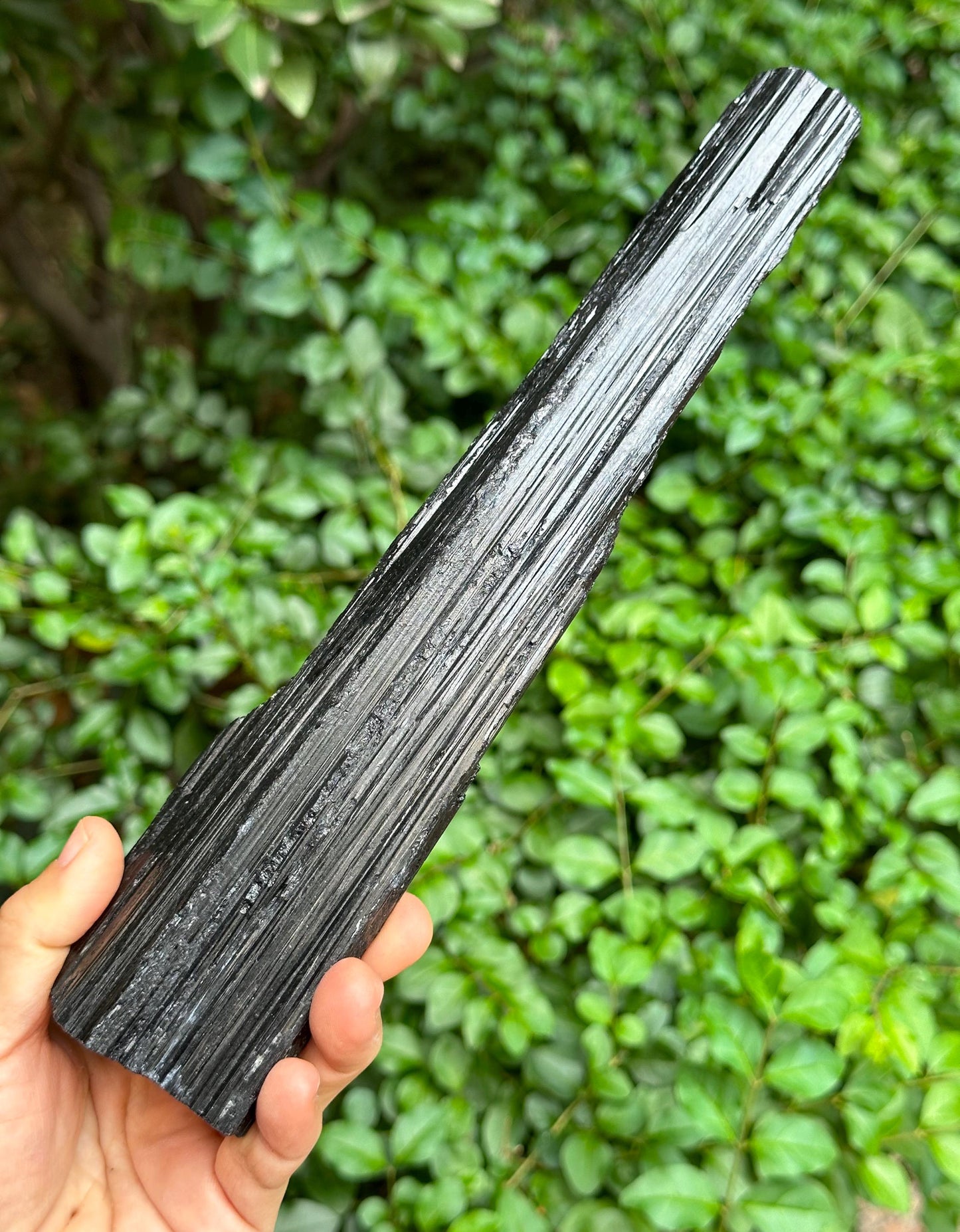 9.5" EXTRA LONG Raw Black Tourmaline Crystal/Shining Tourmaline Specimen/Rough Tourmaline Specimen/Collection/Meditation/Healing-699  g