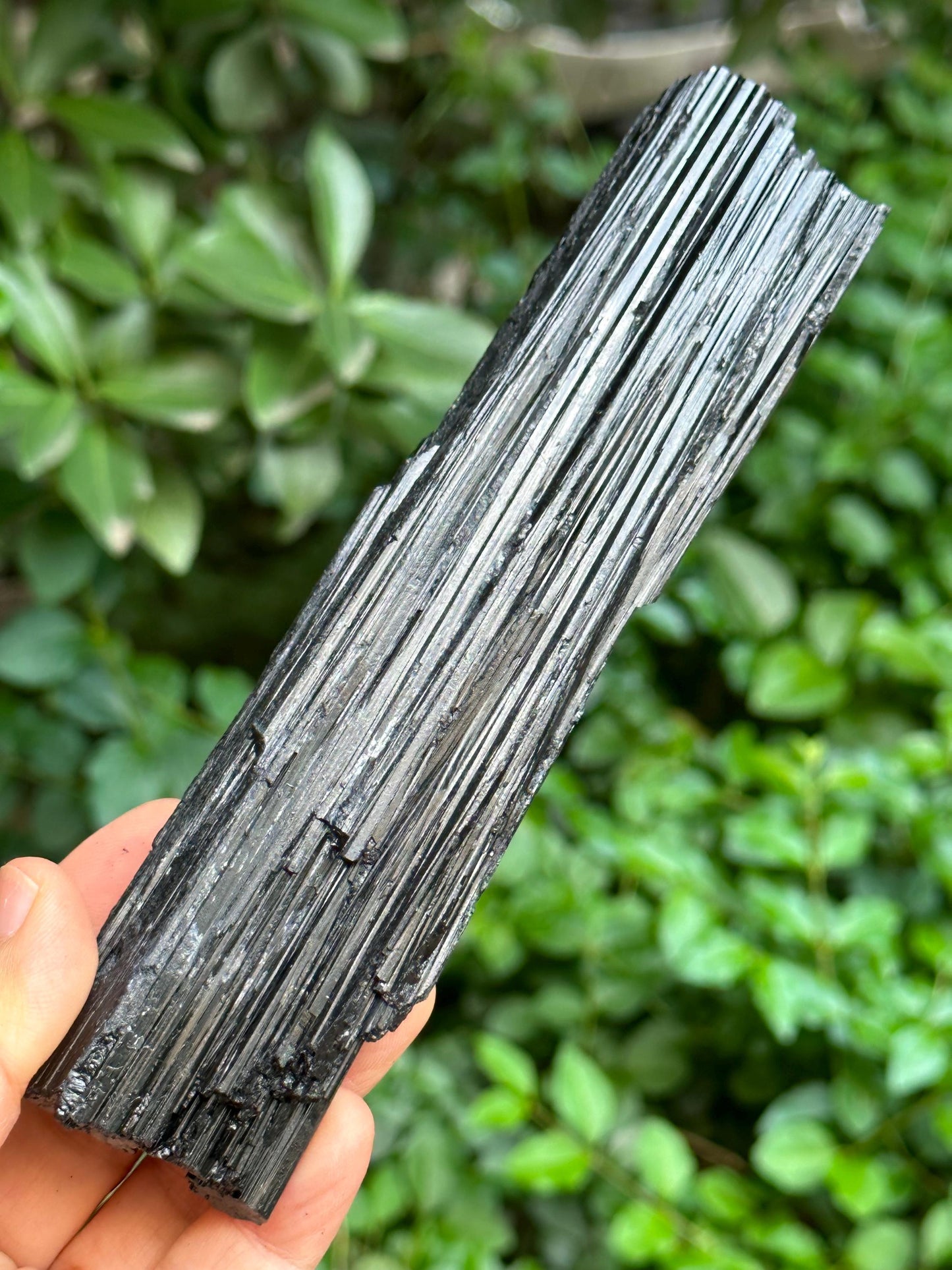 LONG Raw Black Tourmaline Crystal/Shining Tourmaline Specimen/Rough Tourmaline Specimen/Collection/Meditation/Healing-269 g