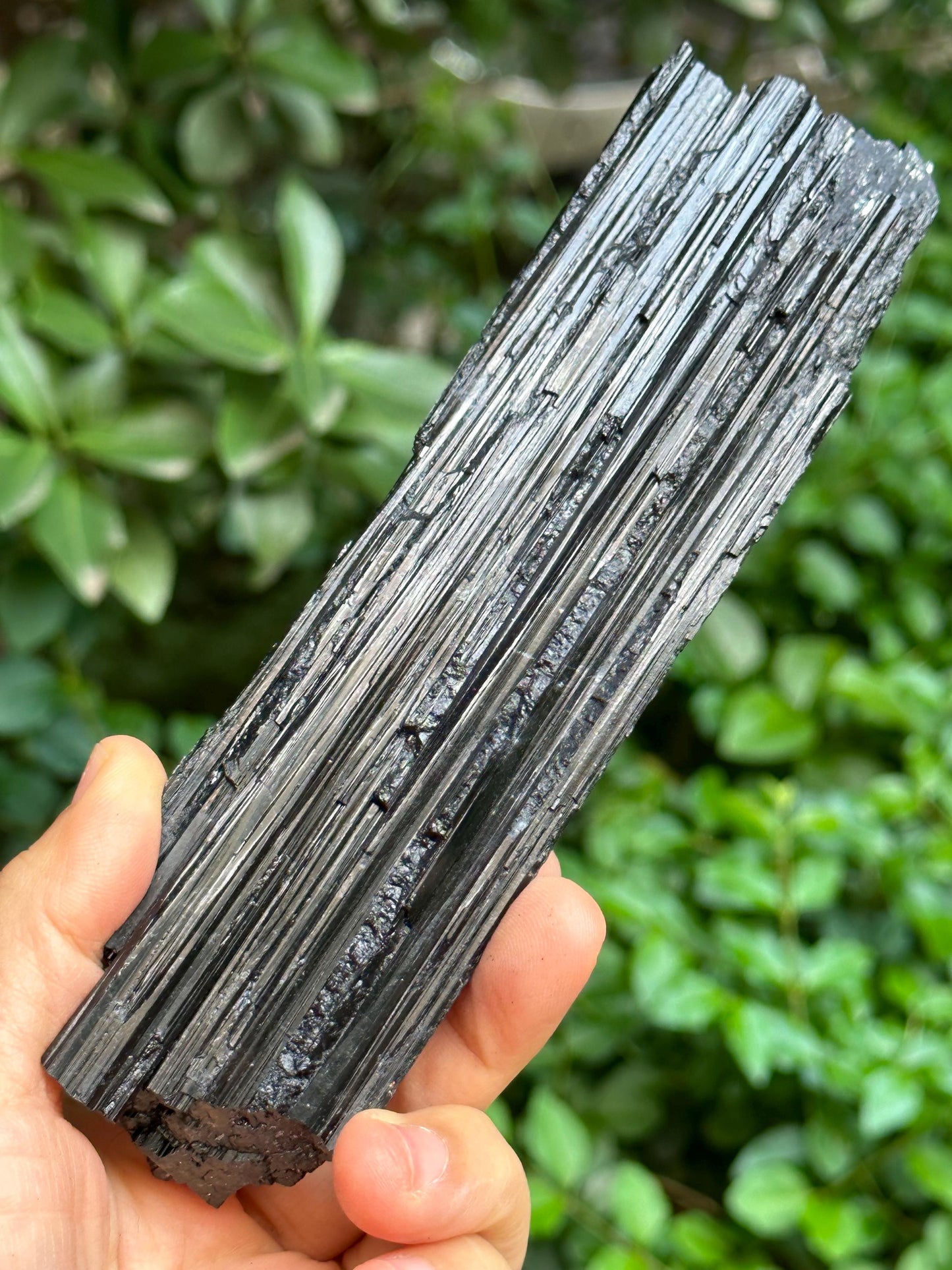 LONG Raw Black Tourmaline Crystal/Shining Tourmaline Specimen/Rough Tourmaline Specimen/Collection/Meditation/Healing-269 g