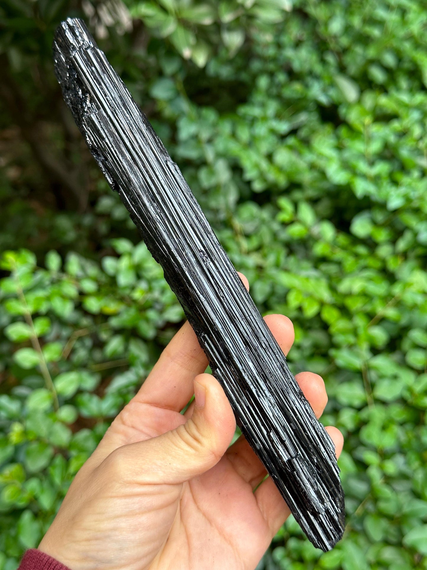 8.5" LONG Raw Black Tourmaline Crystal/Shining Tourmaline Specimen/Rough Tourmaline Specimen/Collection/Meditation/Healing-284 g