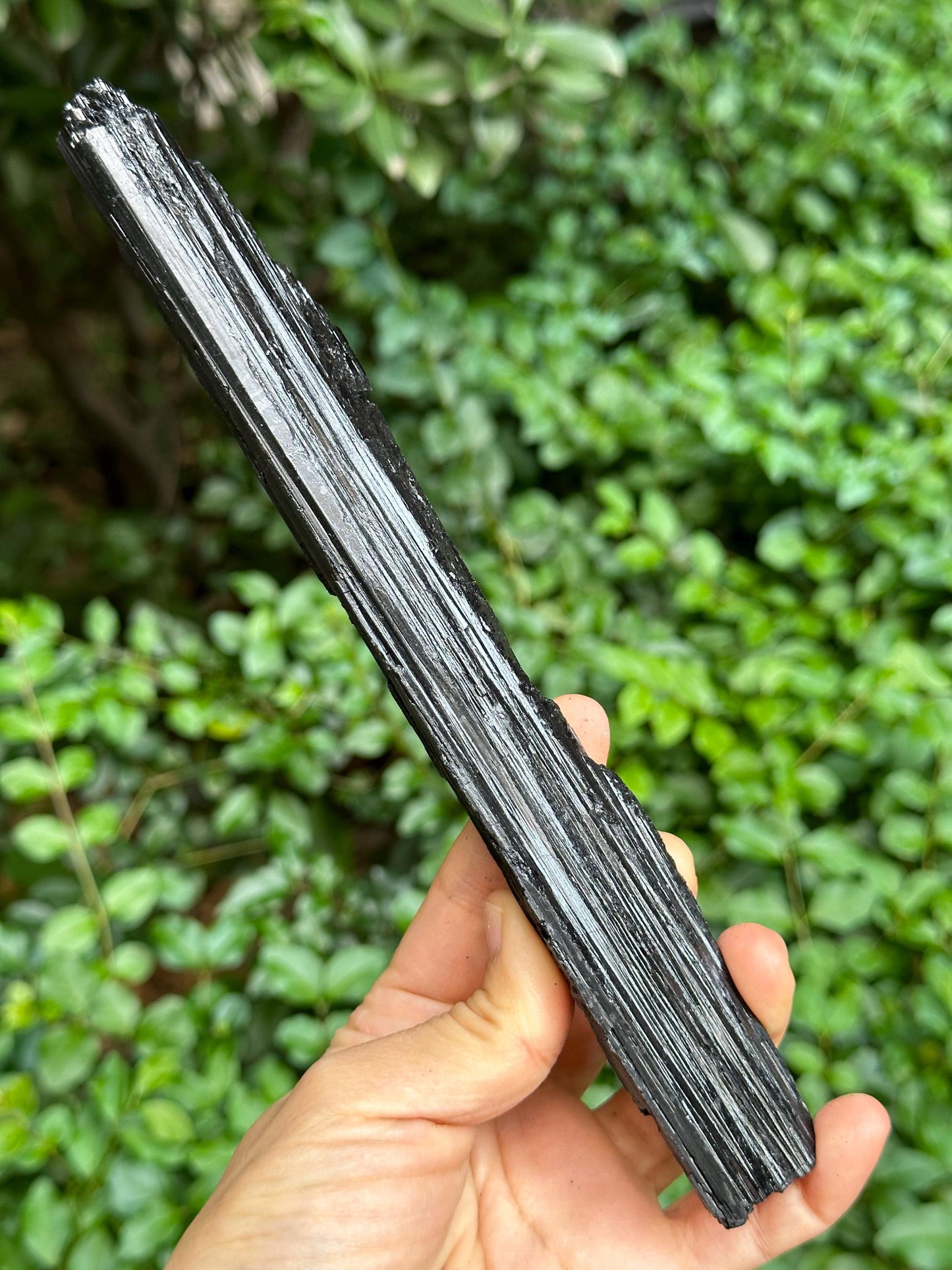 8.5" LONG Raw Black Tourmaline Crystal/Shining Tourmaline Specimen/Rough Tourmaline Specimen/Collection/Meditation/Healing-284 g