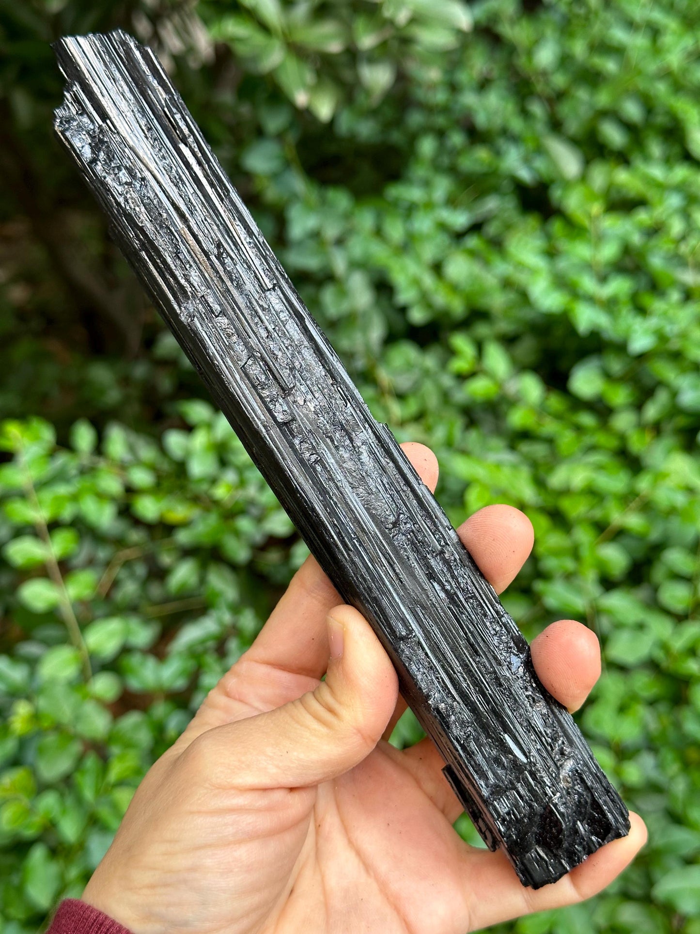 8.5" LONG Raw Black Tourmaline Crystal/Shining Tourmaline Specimen/Rough Tourmaline Specimen/Collection/Meditation/Healing-284 g