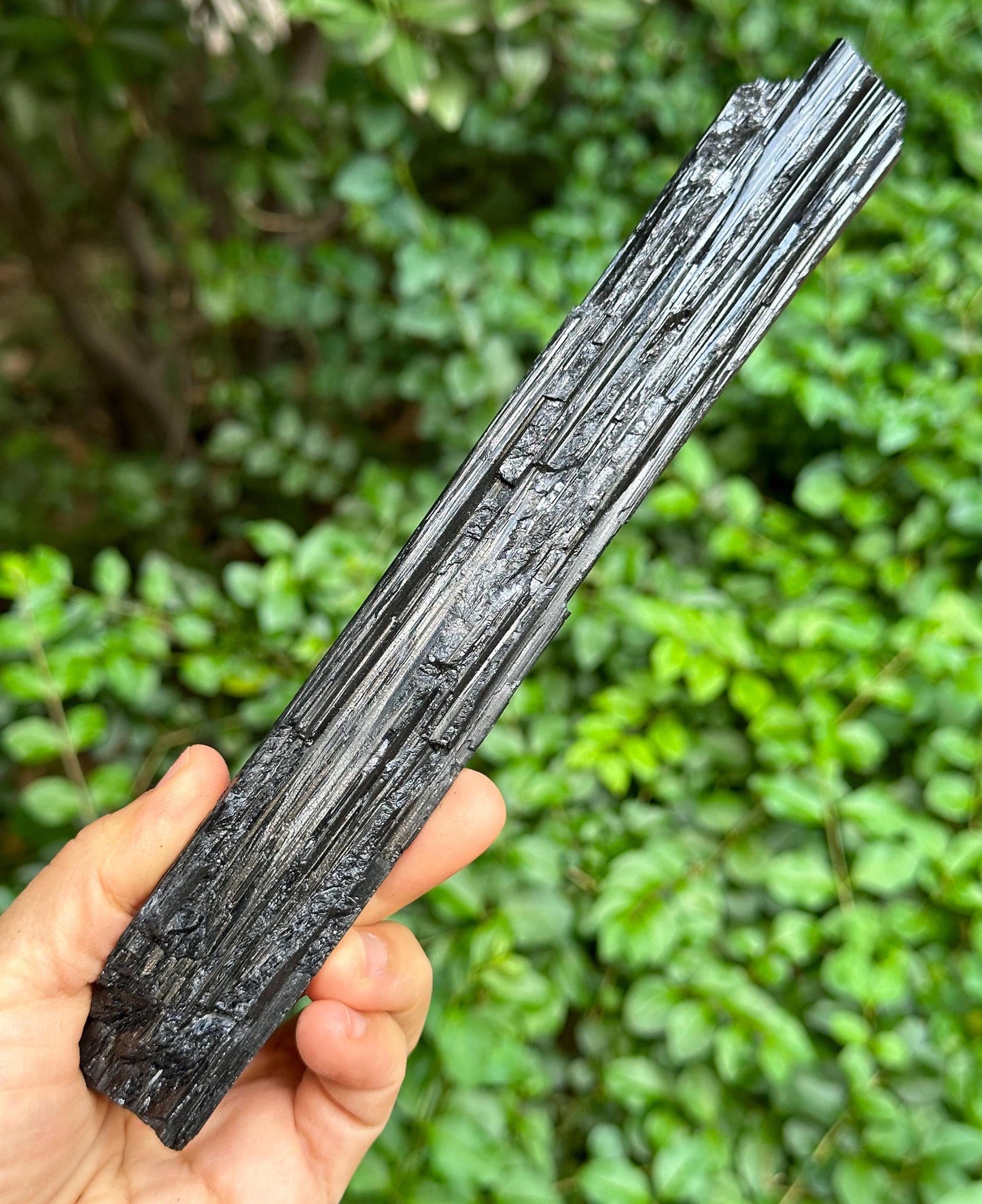 8.5" LONG Raw Black Tourmaline Crystal/Shining Tourmaline Specimen/Rough Tourmaline Specimen/Collection/Meditation/Healing-284 g