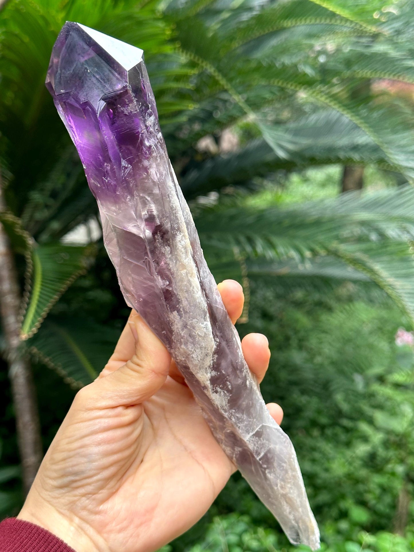 10" Extra Long Clear Scepter Amethyst Quartz Crystal/Energy Quartz/Meditation/Healing Crystal/Crystal Wand-524 g