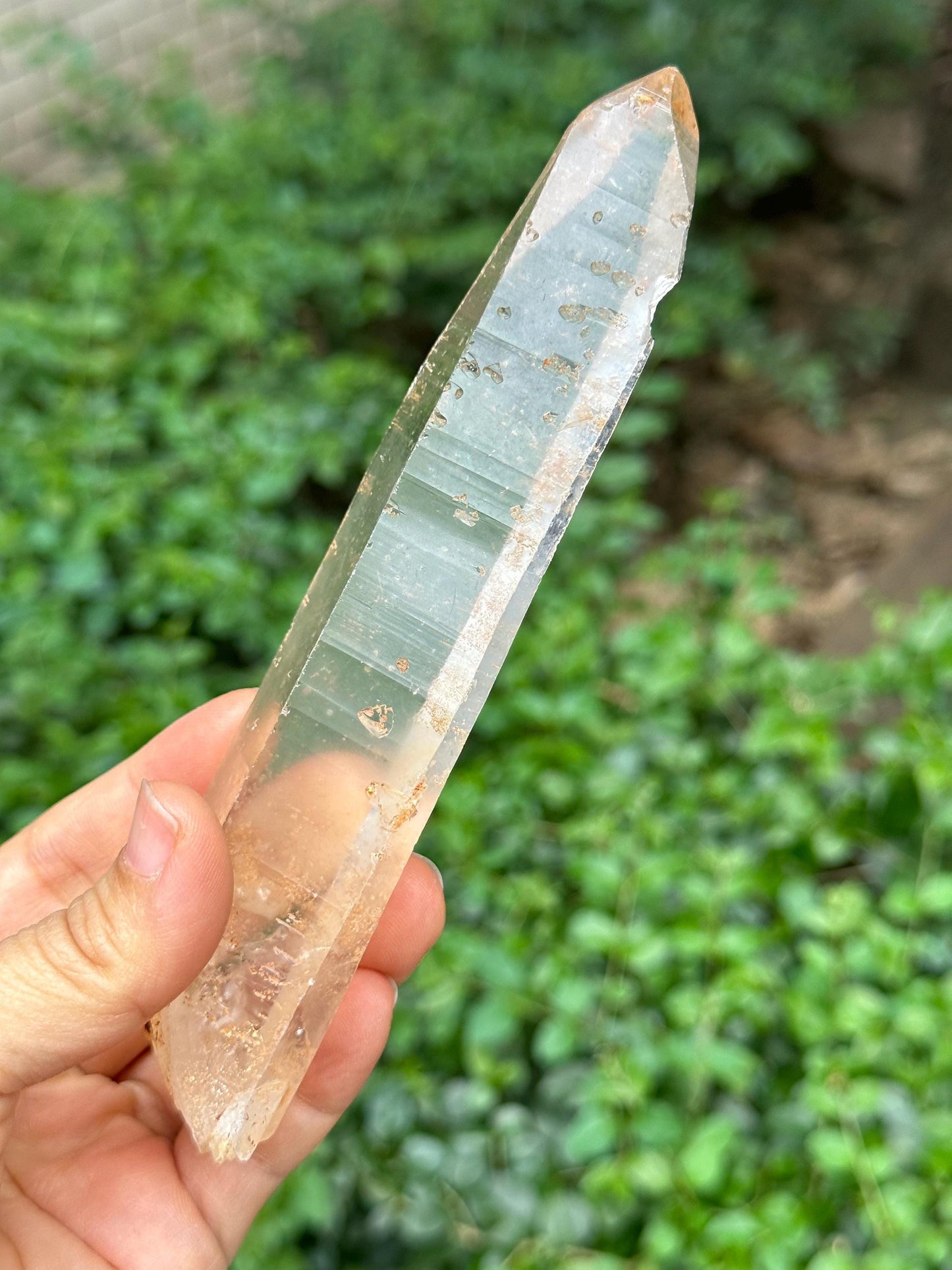 Clear Raw Muzo Lemurian Seeds Quartz Crystal/Muzo Laser Knife Crystal/Akashic Striation/Healing/Meditation-156 g