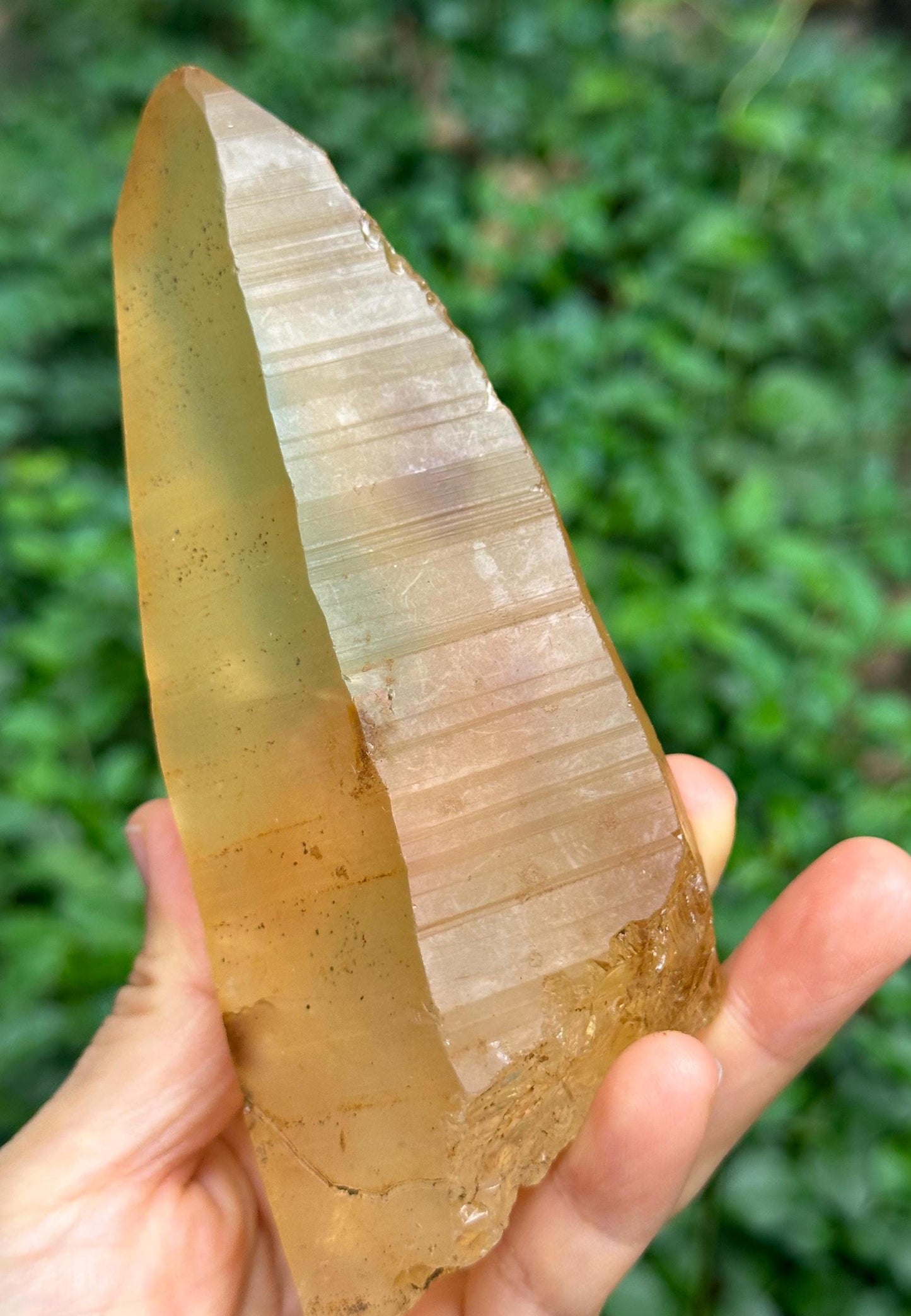 Rare Natural Golden Surface Lemurian Seeds Quartz Crystal Point/Golden Hematite Quartz/Tangerine Crystal/Special Gift/Mediation-343 g