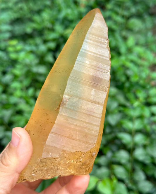 Rare Natural Golden Surface Lemurian Seeds Quartz Crystal Point/Golden Hematite Quartz/Tangerine Crystal/Special Gift/Mediation-343 g