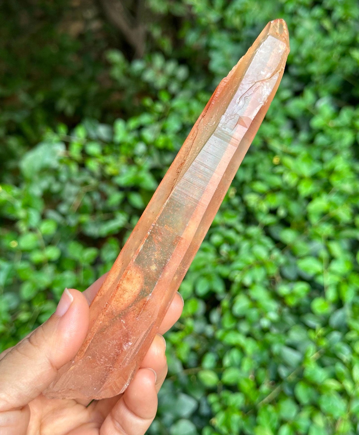 Natural Long Laser Hematite Lemurian Quartz Crystal/Red Double Terminated Hematite Quartz/Tangerine Crystal/Meditation Wand-149 g