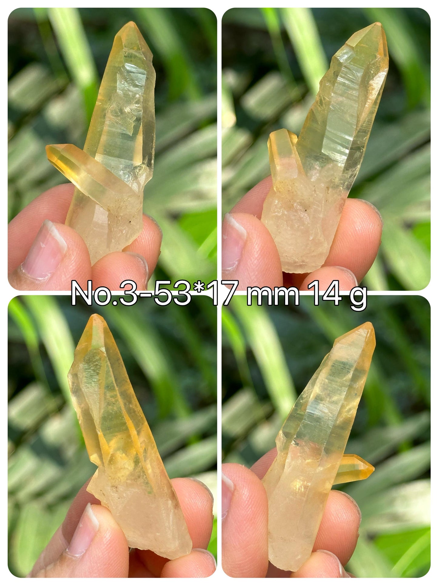 You Pick!Rare Golden Himalayan Quartz Aura Crystal/Hematite Rainbow Tibet Energy Crystal/Reiki/Healing/Meditation/Jewelry Making/Specimen