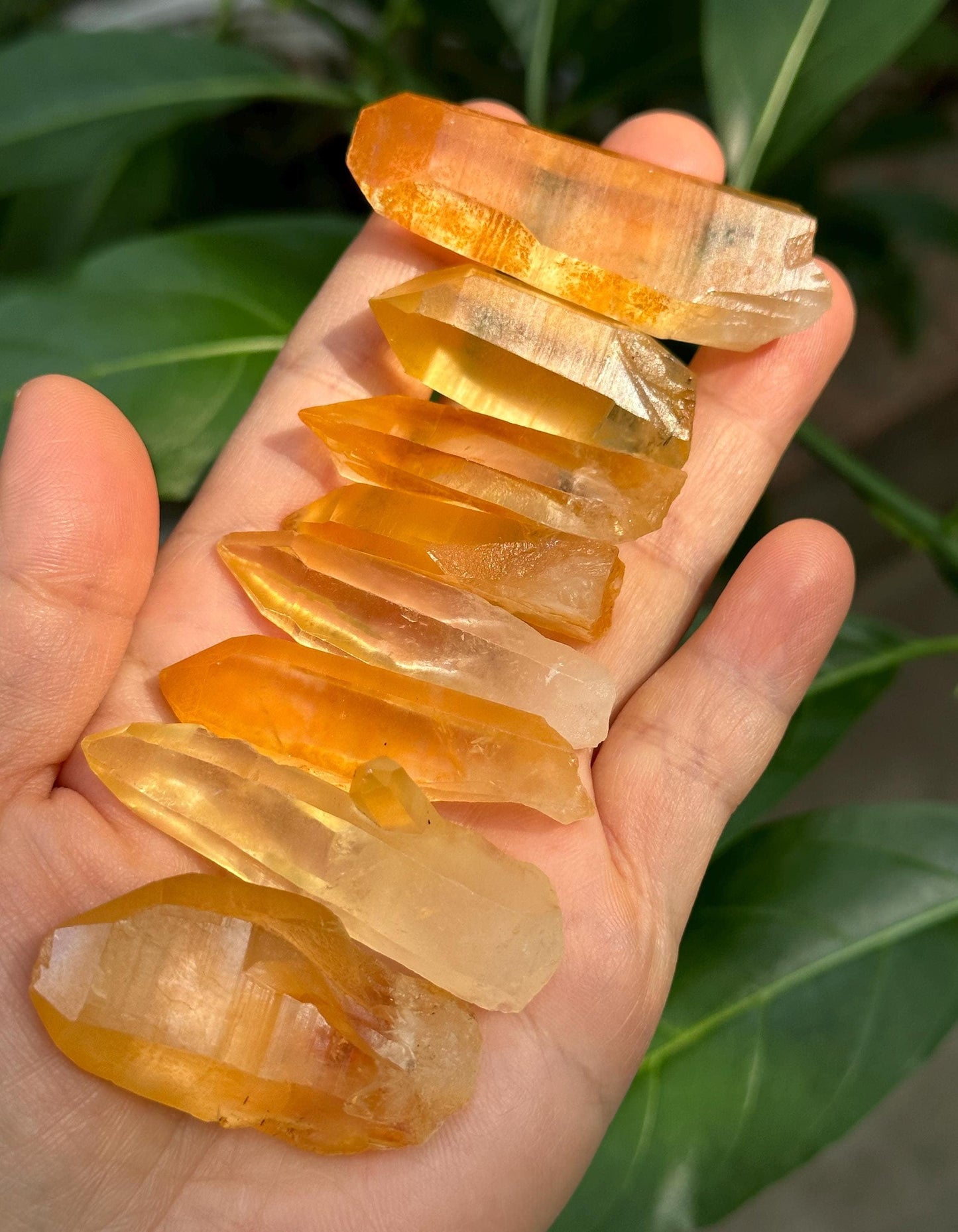 You Pick!Rare Golden Himalayan Quartz Aura Crystal/Hematite Rainbow Tibet Energy Crystal/Reiki/Healing/Meditation/Jewelry Making/Specimen