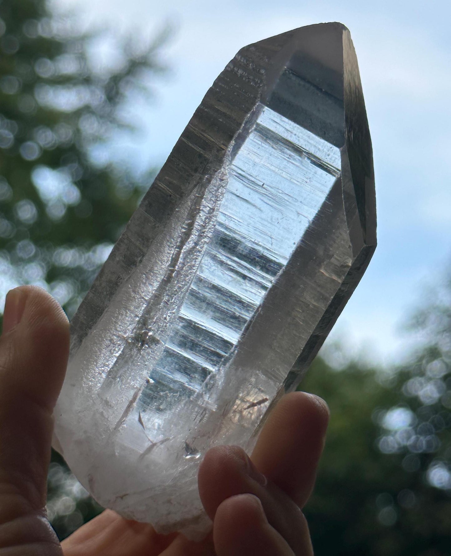 Clear Himalayan Record-keeper Quartz Crystal Point/Energy Crystal/Reiki/Healing/Meditation-293 g