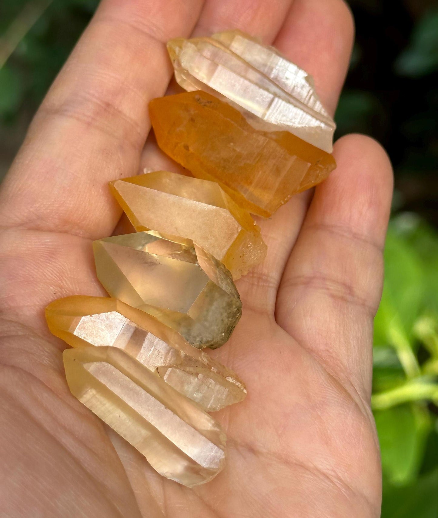 6 pcs Clear Golden Himalayan Quartz Aura Crystal/Hematite Rainbow Tibet Energy Crystal/Reiki/Healing/Meditation/Jewelry Making/Specimen