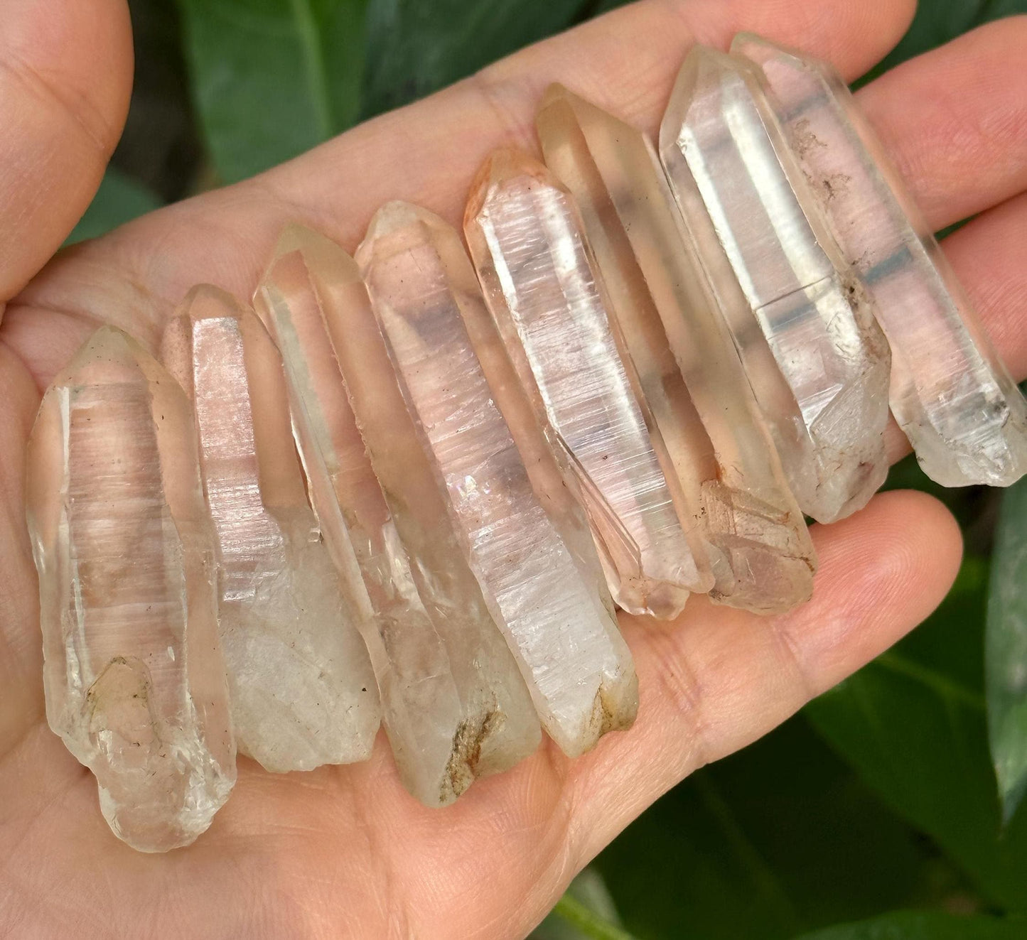 8 pcs Clear Himalayan Lemurian Seeds Quartz Crystal Point/Akashic Striation Energy Crystal/Reiki/Healing Crystal/Meditation