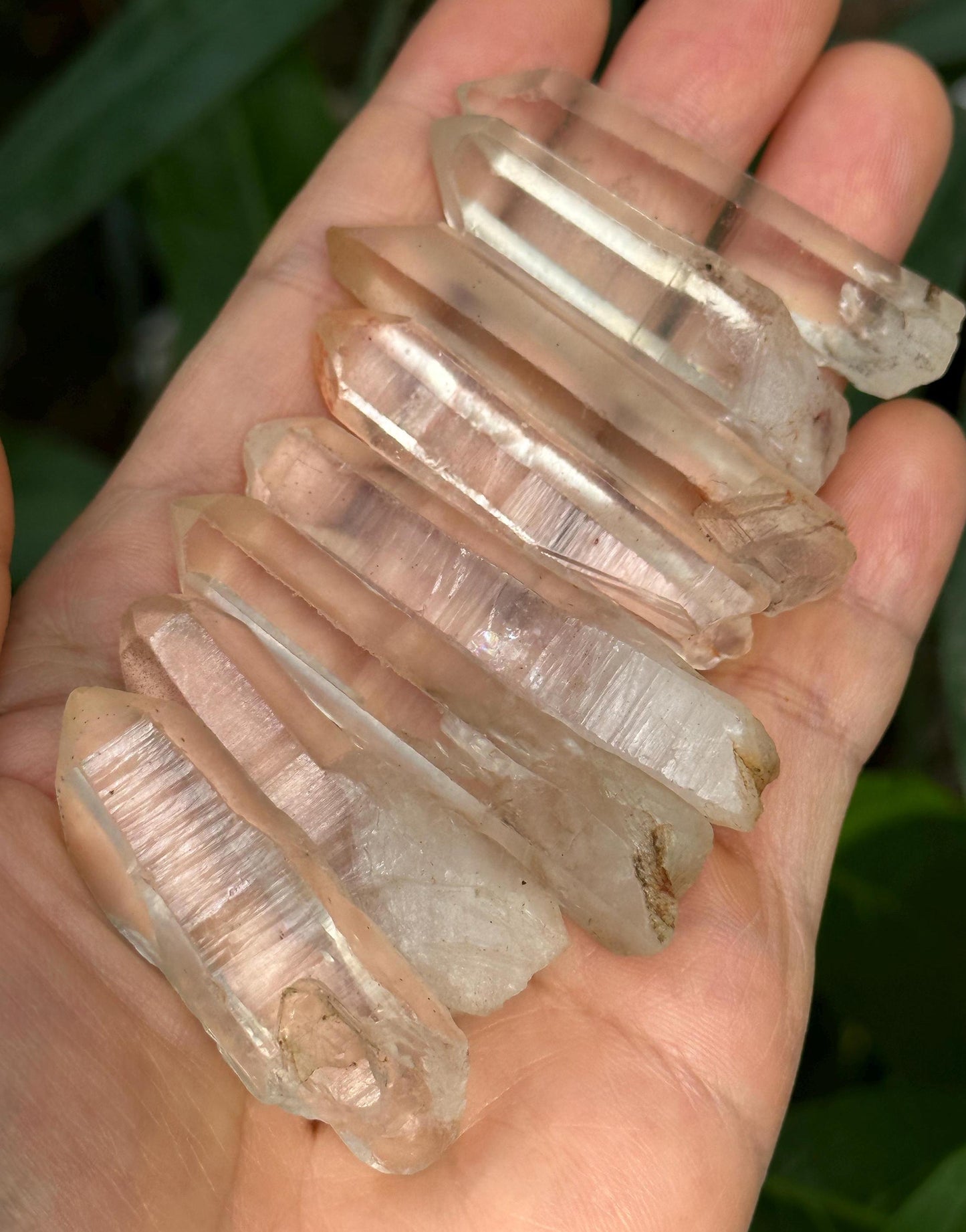 8 pcs Clear Himalayan Lemurian Seeds Quartz Crystal Point/Akashic Striation Energy Crystal/Reiki/Healing Crystal/Meditation