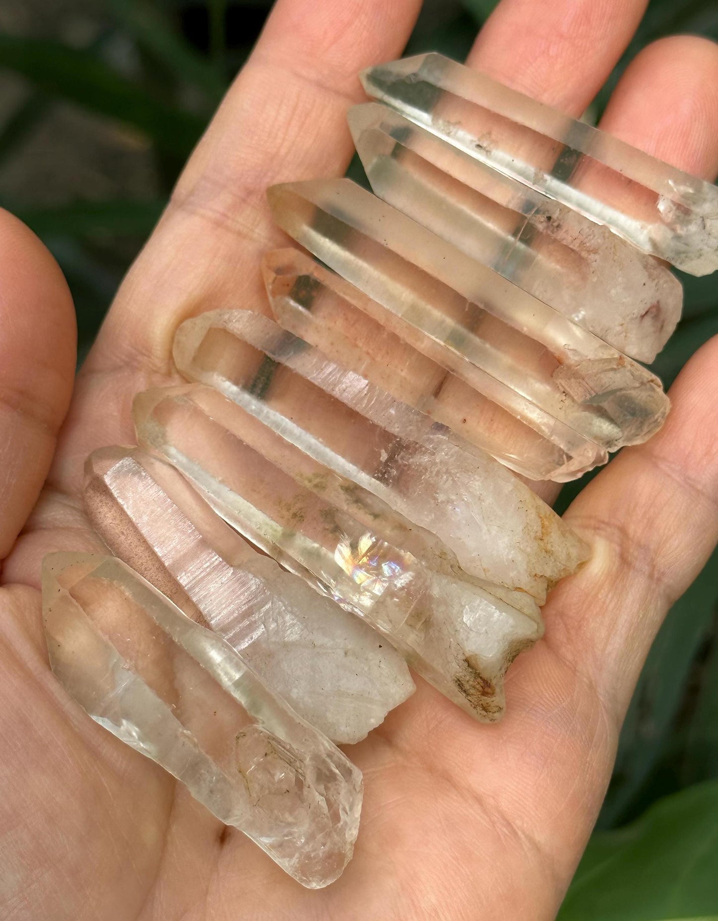 8 pcs Clear Himalayan Lemurian Seeds Quartz Crystal Point/Akashic Striation Energy Crystal/Reiki/Healing Crystal/Meditation