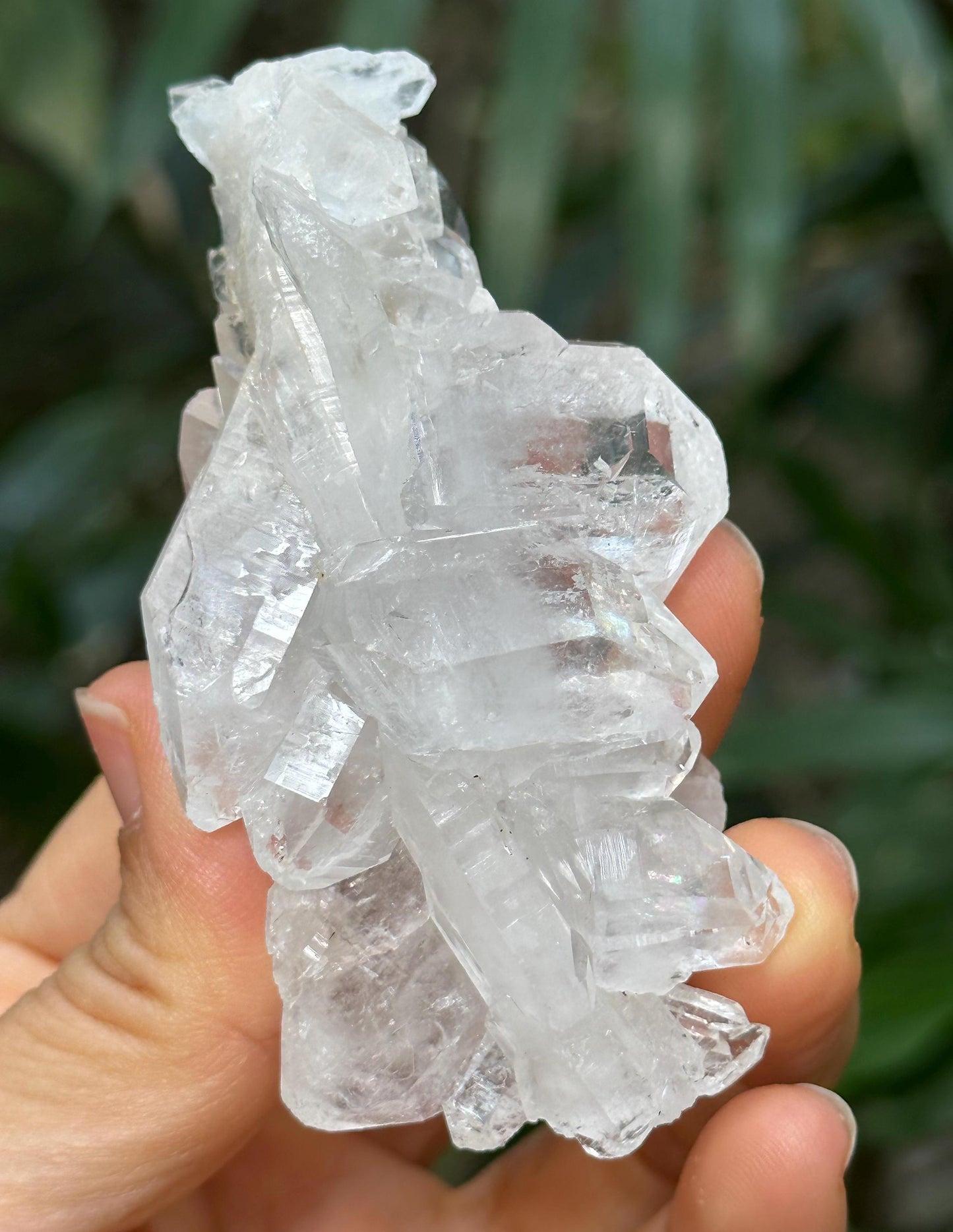 Shining Double Terminated Himalayan Faden Quartz Crystal from Pakistan/Crystal Cluster/Crystal Healing/Meditation/Healing/Collection-77 g