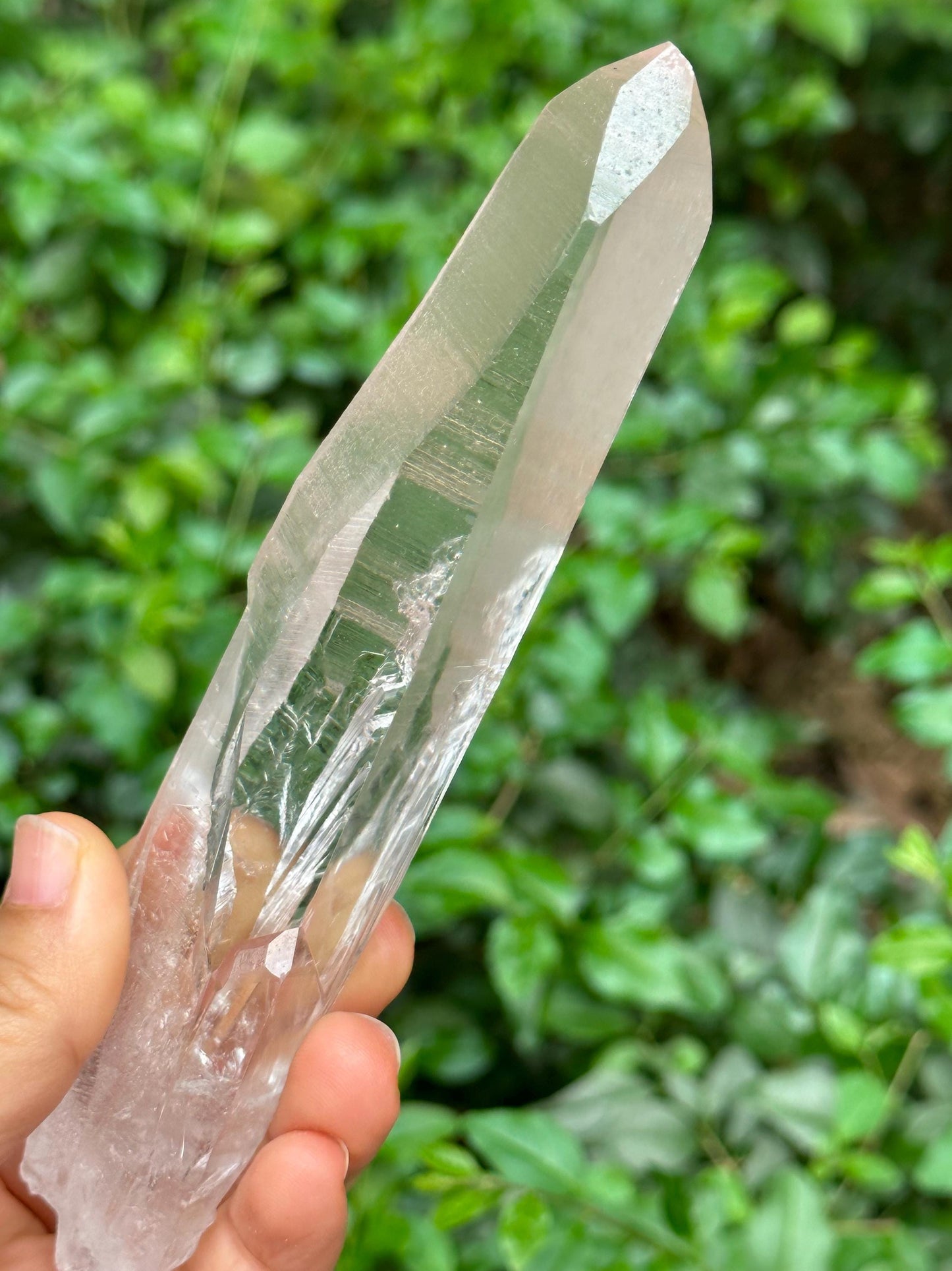 Clear Blue Angel's Feather Included Brazil Lemurian Seeds Quartz Muzo Blue Needle Crystal Point /Akashic Striation/Healing/Meditation-175 g