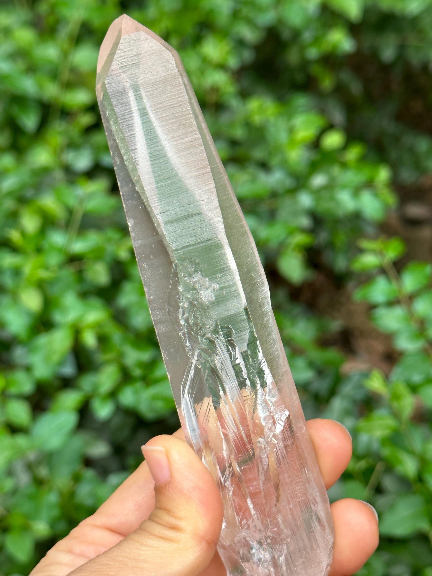 Clear Blue Angel's Feather Included Brazil Lemurian Seeds Quartz Muzo Blue Needle Crystal Point /Akashic Striation/Healing/Meditation-175 g