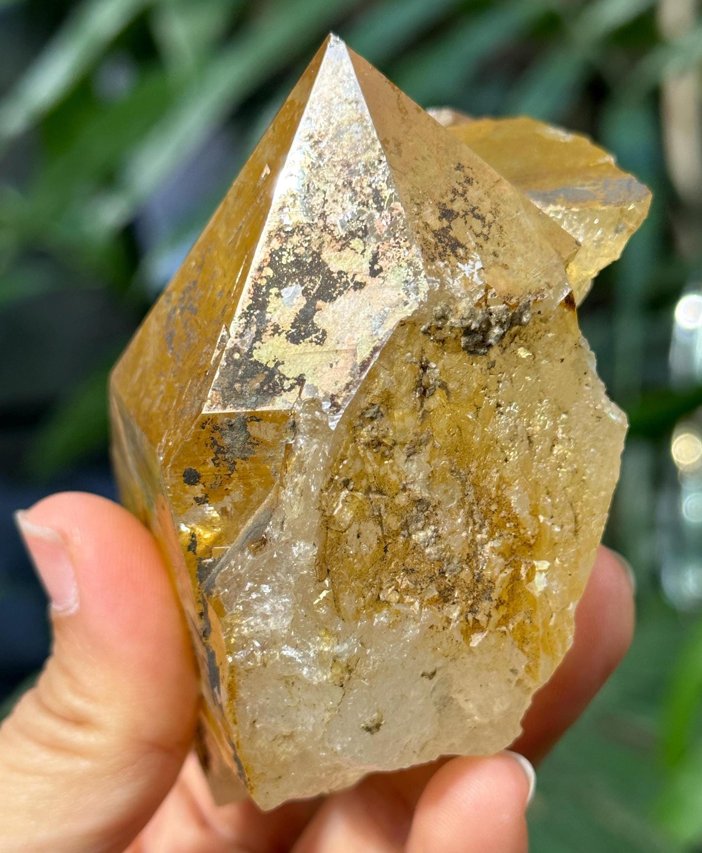 Rare Natural Rainbow Golden Himalayan Quartz Aura Crystal/Tibet Energy Crystal/Reiki/Healing/Meditation/Collection/Specimen-308 g