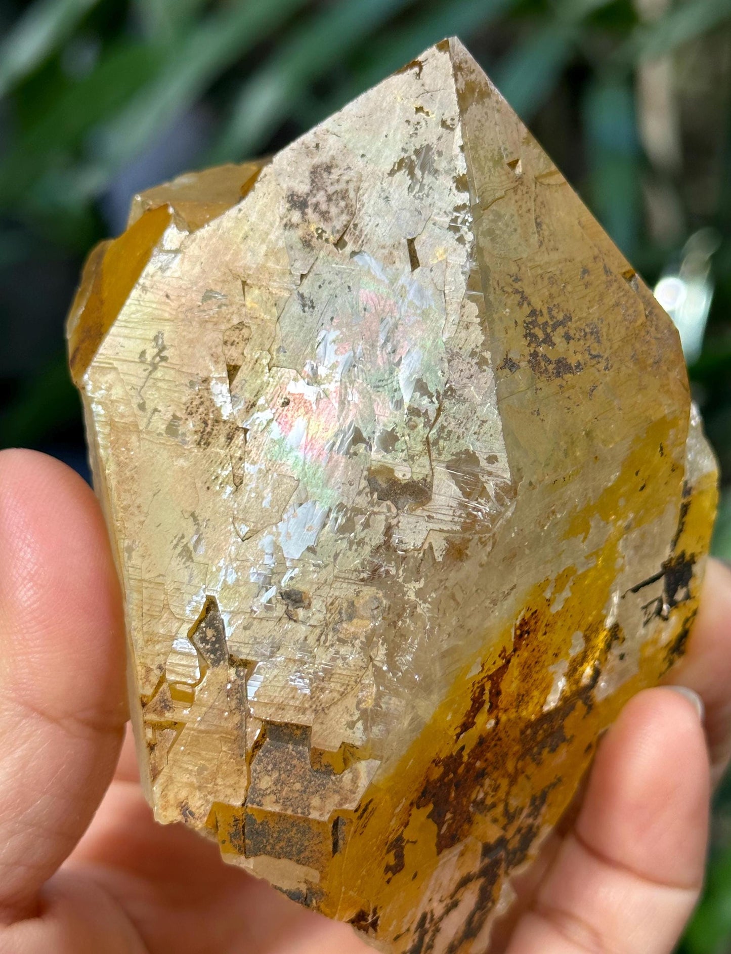 Rare Natural Rainbow Golden Himalayan Quartz Aura Crystal/Tibet Energy Crystal/Reiki/Healing/Meditation/Collection/Specimen-308 g