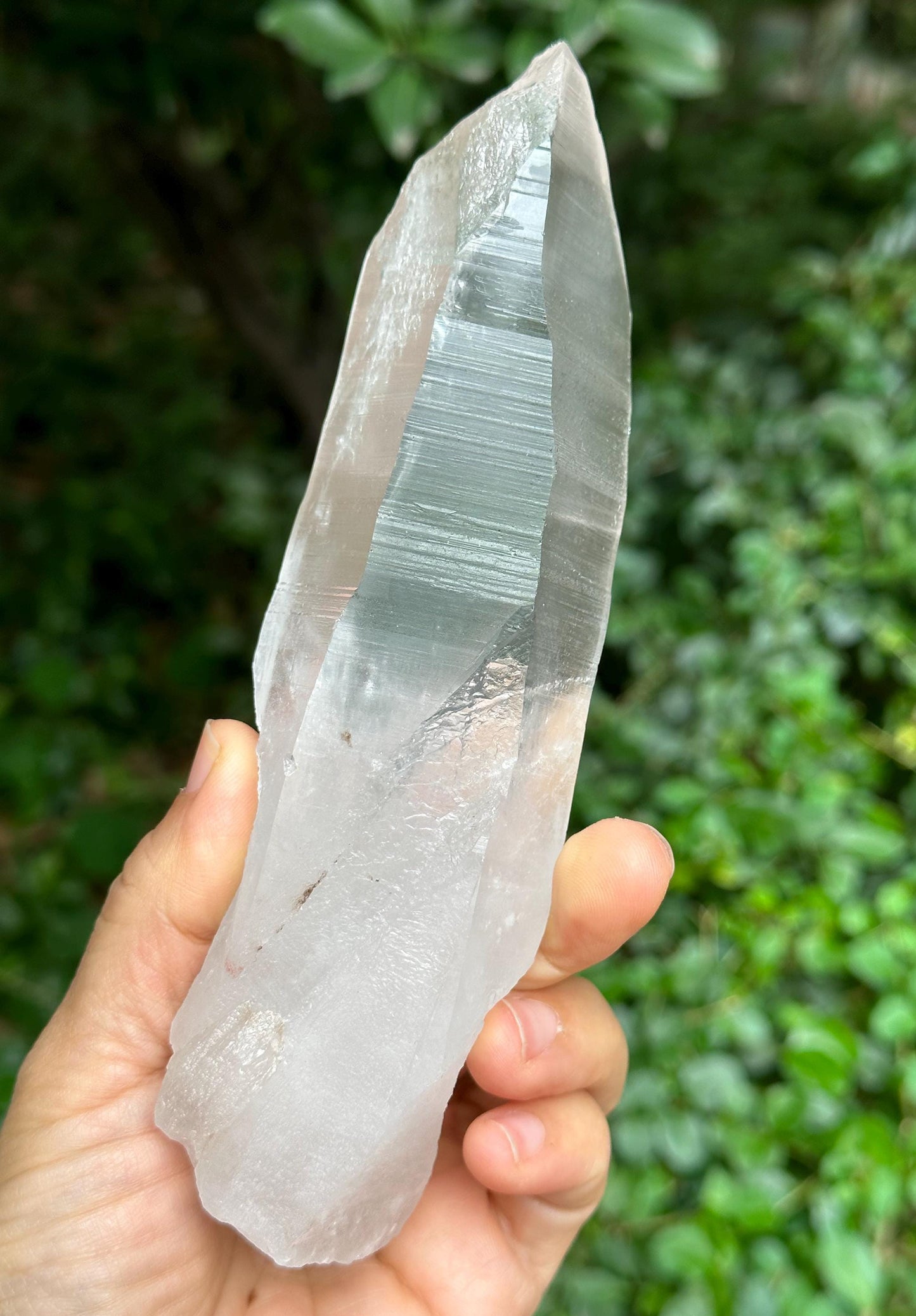 Natural Blue Angel's Feather Included Brazil Lemurian Seeds Quartz Muzo Blue Needle Crystal Point /Akashic Striation/Healing/Meditation-374g