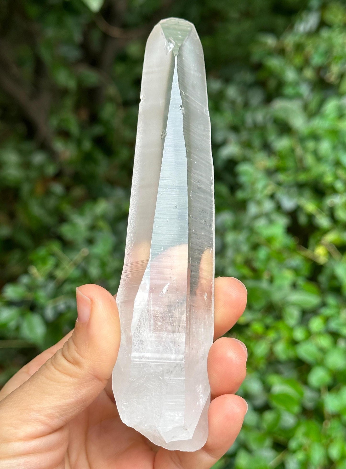 Clear Blue Needle Included Brazil Lemurian Seeds Quartz Muzo Blue Angel's Feather Crystal Point/Akashic Striation/Healing/Meditation-172 g