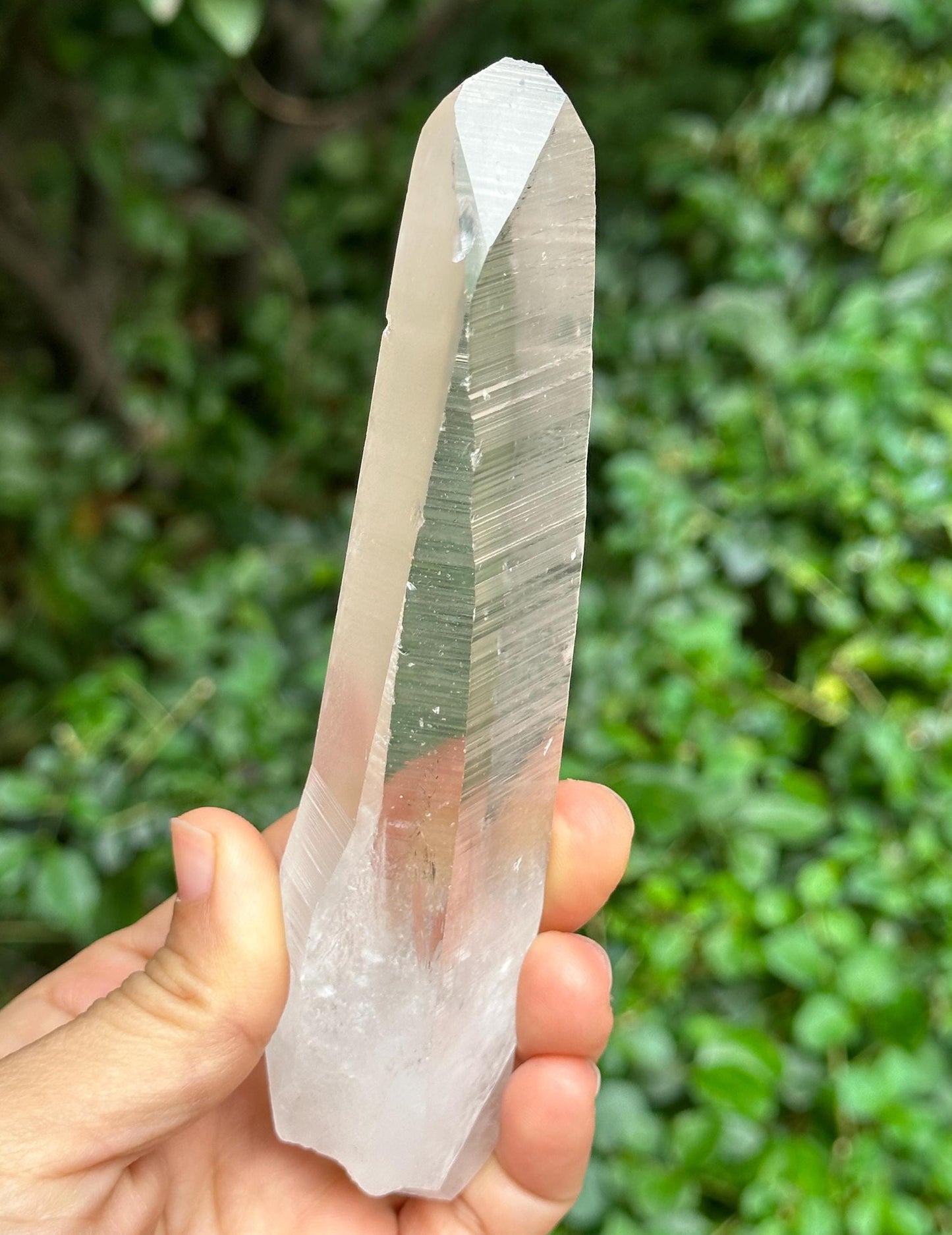 Clear Blue Needle Included Brazil Lemurian Seeds Quartz Muzo Blue Angel's Feather Crystal Point/Akashic Striation/Healing/Meditation-172 g