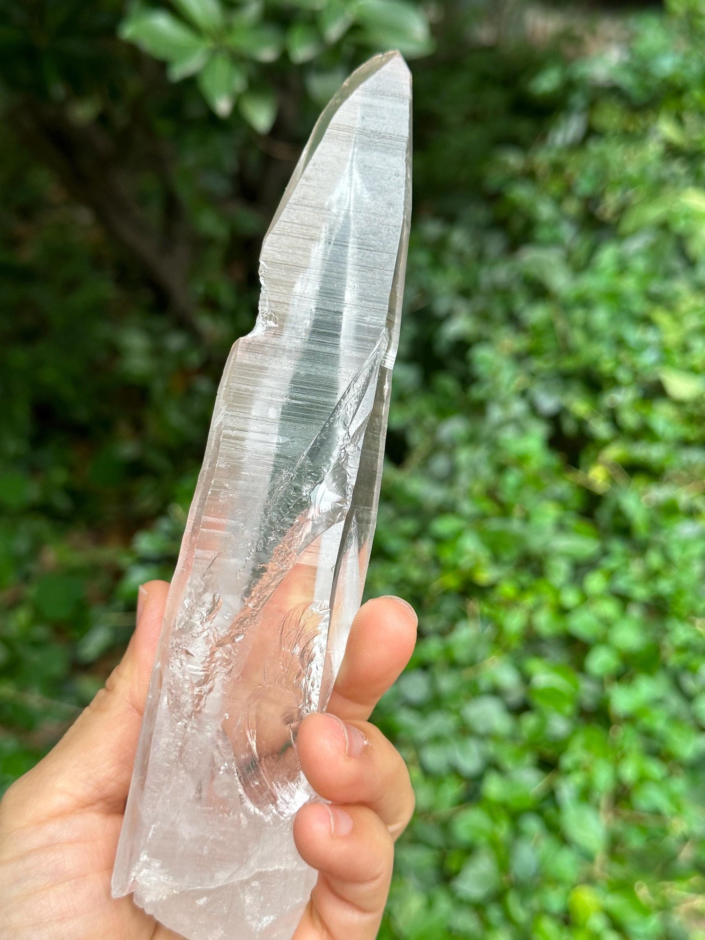 Clear Blue Needle Included Brazil Lemurian Seeds Quartz Muzo Blue Angel's Feather Crystal Point/Akashic Striation/Healing/Meditation-300 g