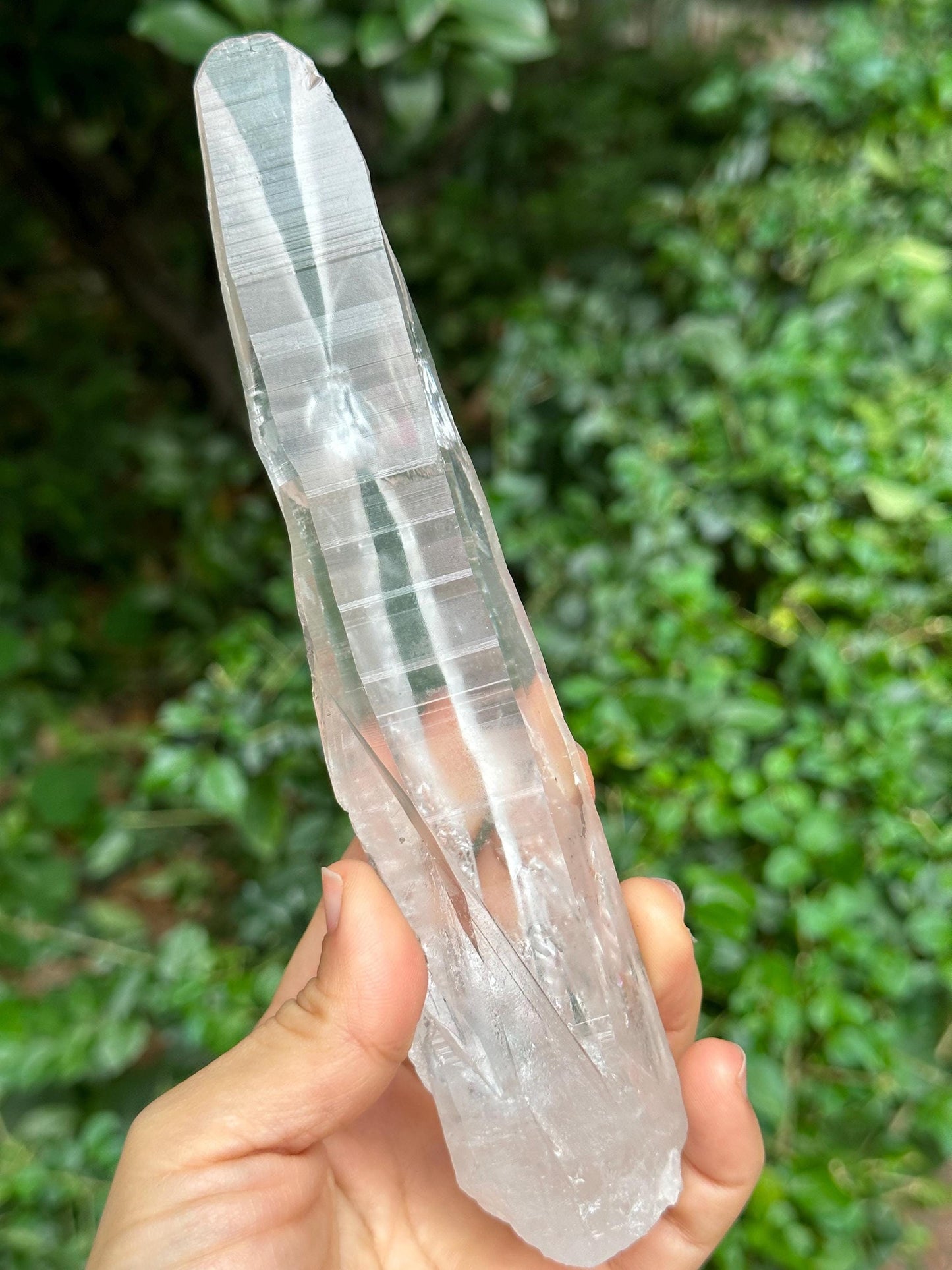 Clear Blue Needle Included Brazil Lemurian Seeds Quartz Muzo Blue Angel's Feather Crystal Point/Akashic Striation/Healing/Meditation-300 g