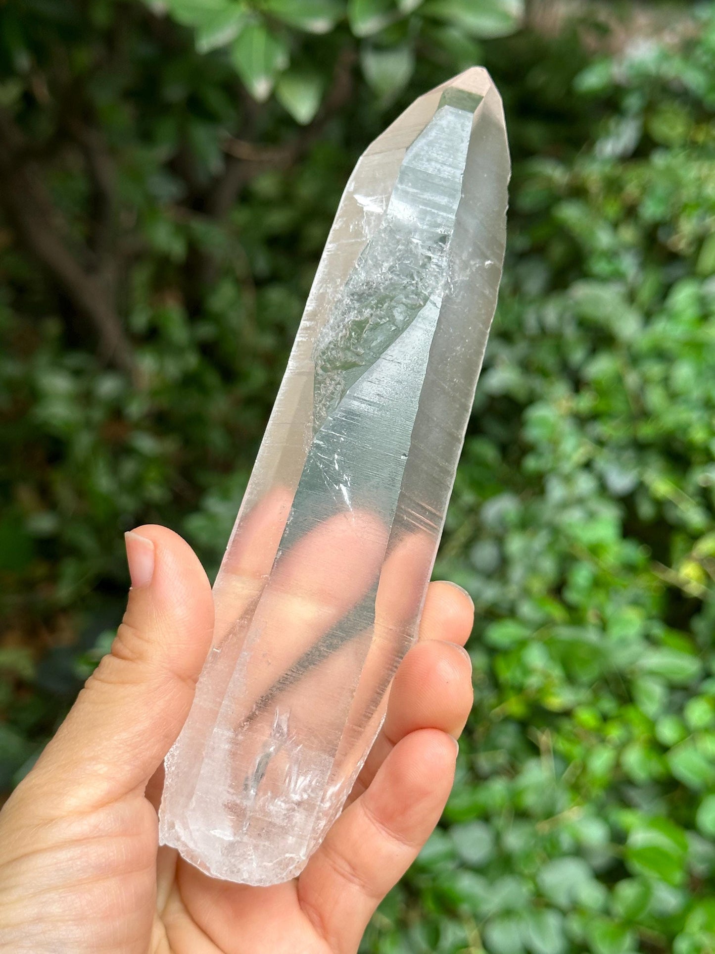 Natural Blue Angel's Feather Included Brazil Lemurian Seeds Record-keeper Quartz Muzo Blue Needle Crystal/Akashic Striation/Meditation-277 g