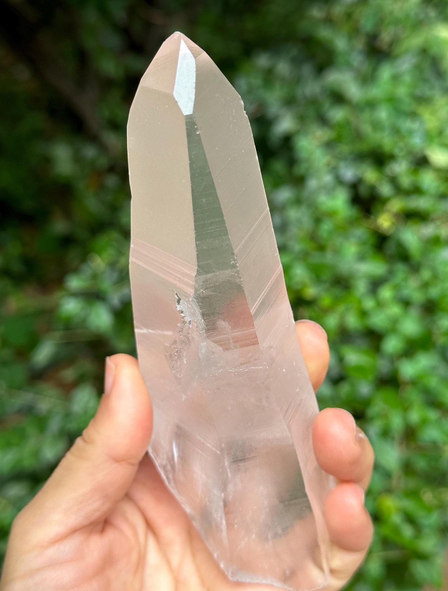 Clear Muzo Crystal Blue Needle Included Record-keeper Lemurian Seeds Quartz/Angel's Feather Laser Crystal/Akashic Striation/Meditation-239 g