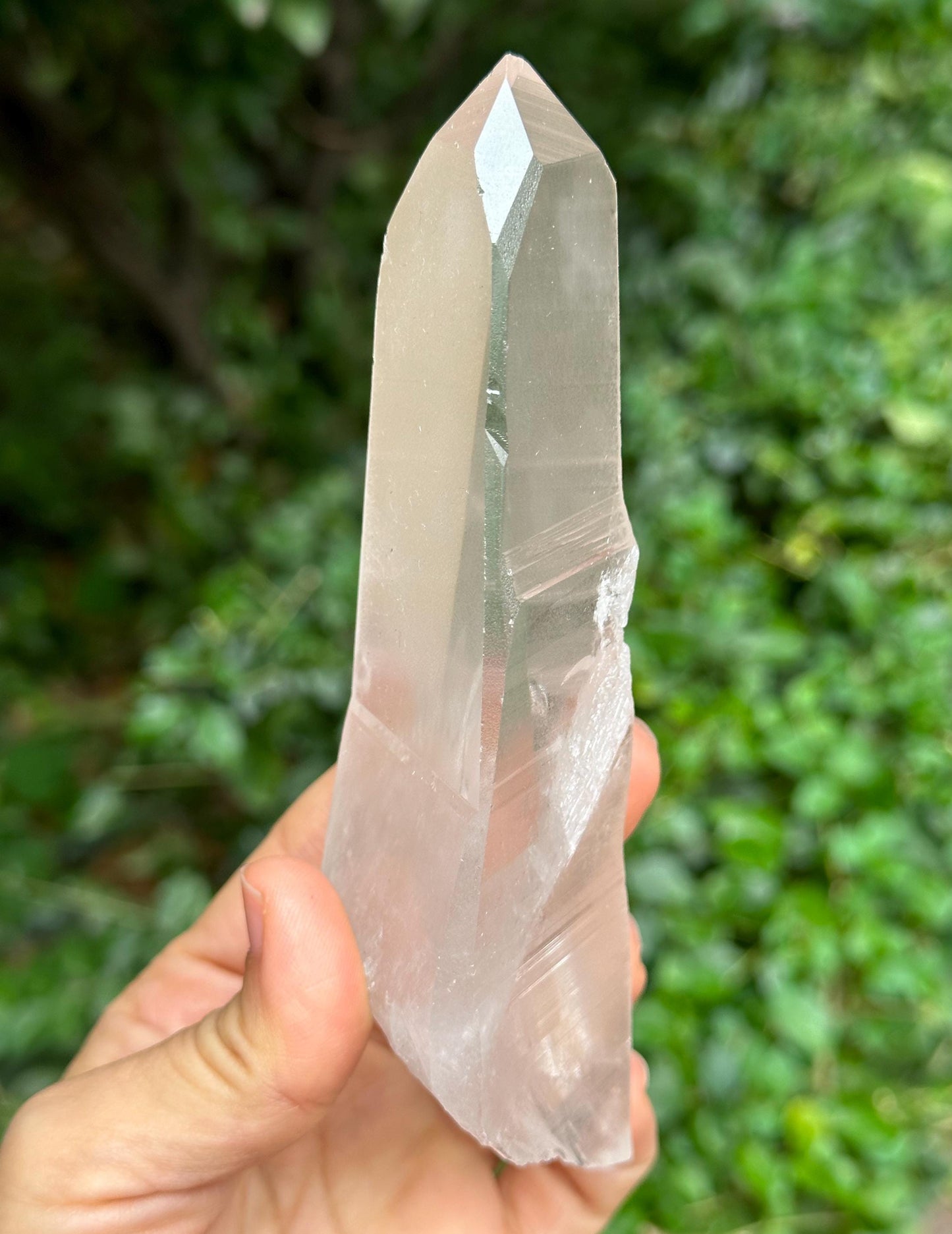 Clear Muzo Crystal Blue Needle Included Record-keeper Lemurian Seeds Quartz/Angel's Feather Laser Crystal/Akashic Striation/Meditation-239 g