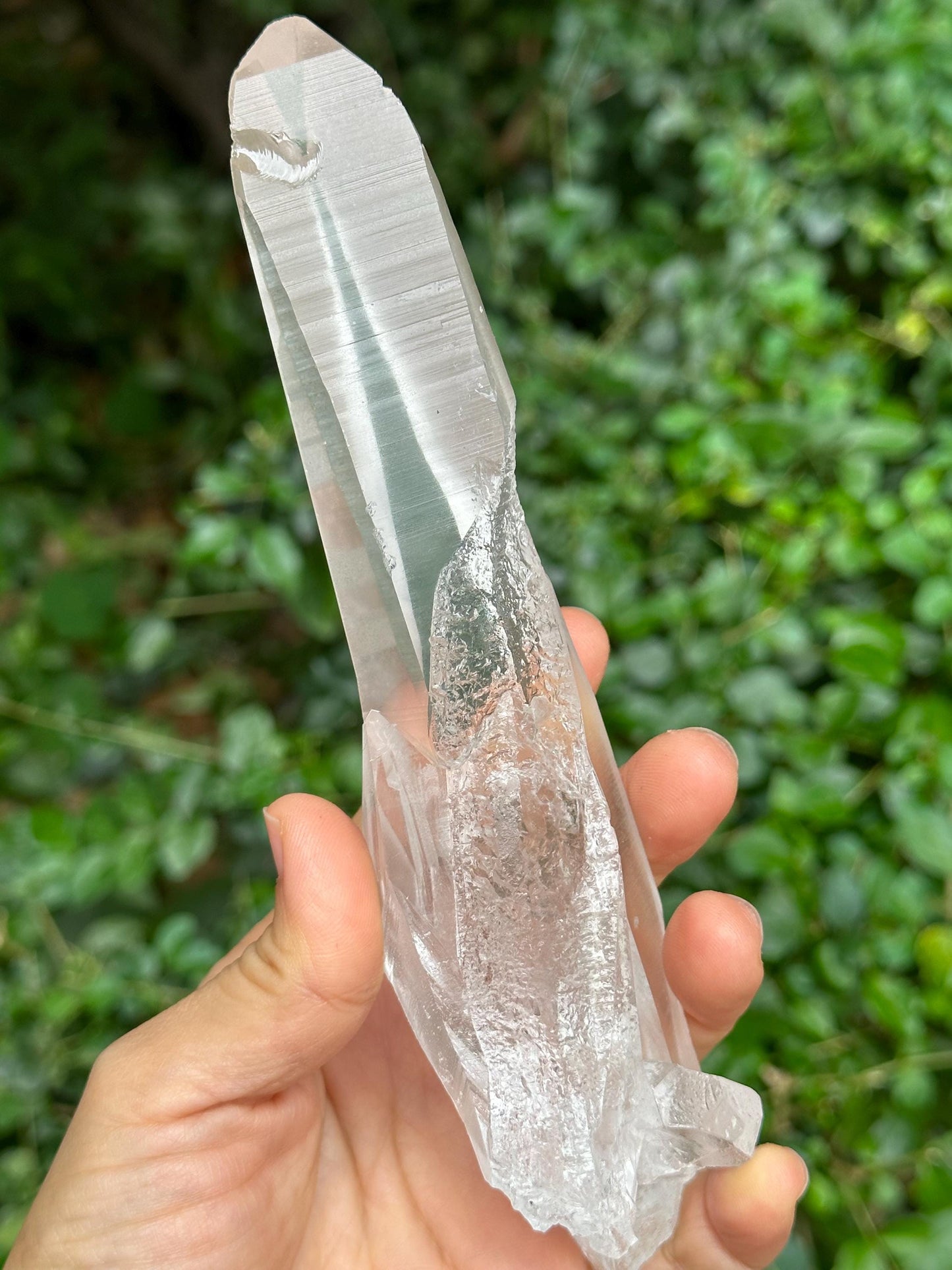 Natural Blue Angel's Feather Included Brazil Lemurian Seeds Record-keeper Quartz Muzo Blue Needle Crystal/Akashic Striation/Meditation-300 g