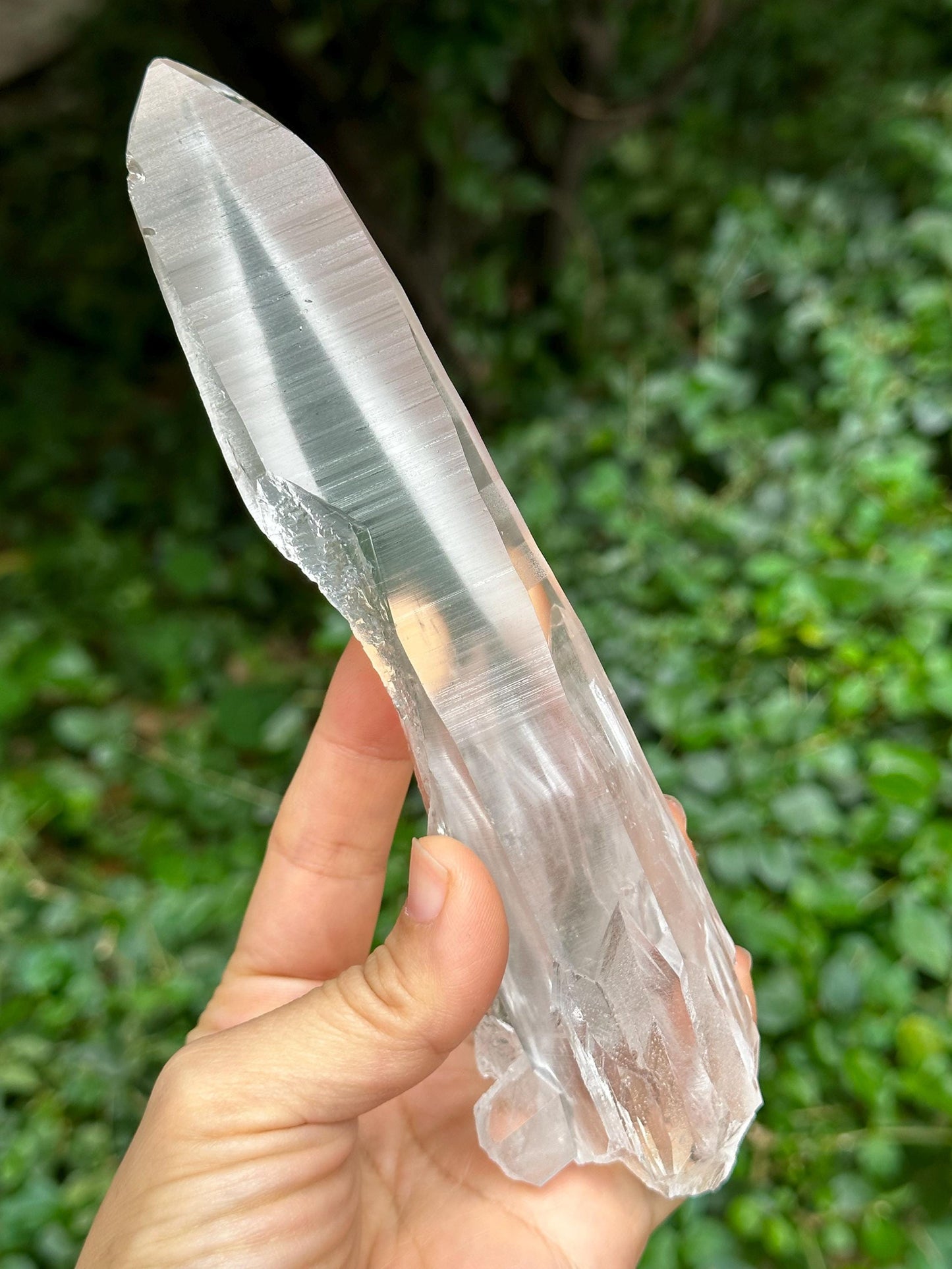 Natural Blue Angel's Feather Included Brazil Lemurian Seeds Record-keeper Quartz Muzo Blue Needle Crystal/Akashic Striation/Meditation-300 g