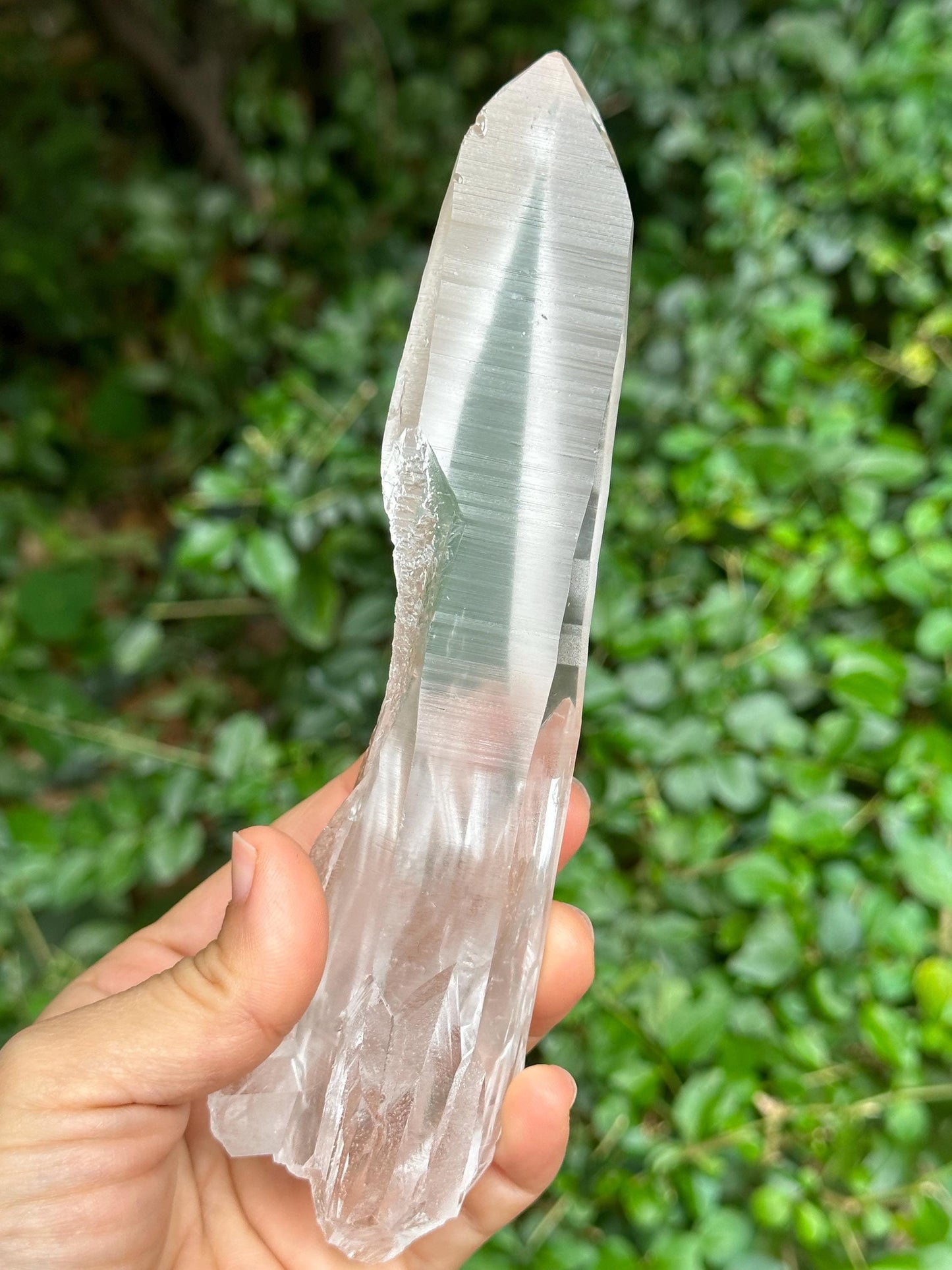 Natural Blue Angel's Feather Included Brazil Lemurian Seeds Record-keeper Quartz Muzo Blue Needle Crystal/Akashic Striation/Meditation-300 g