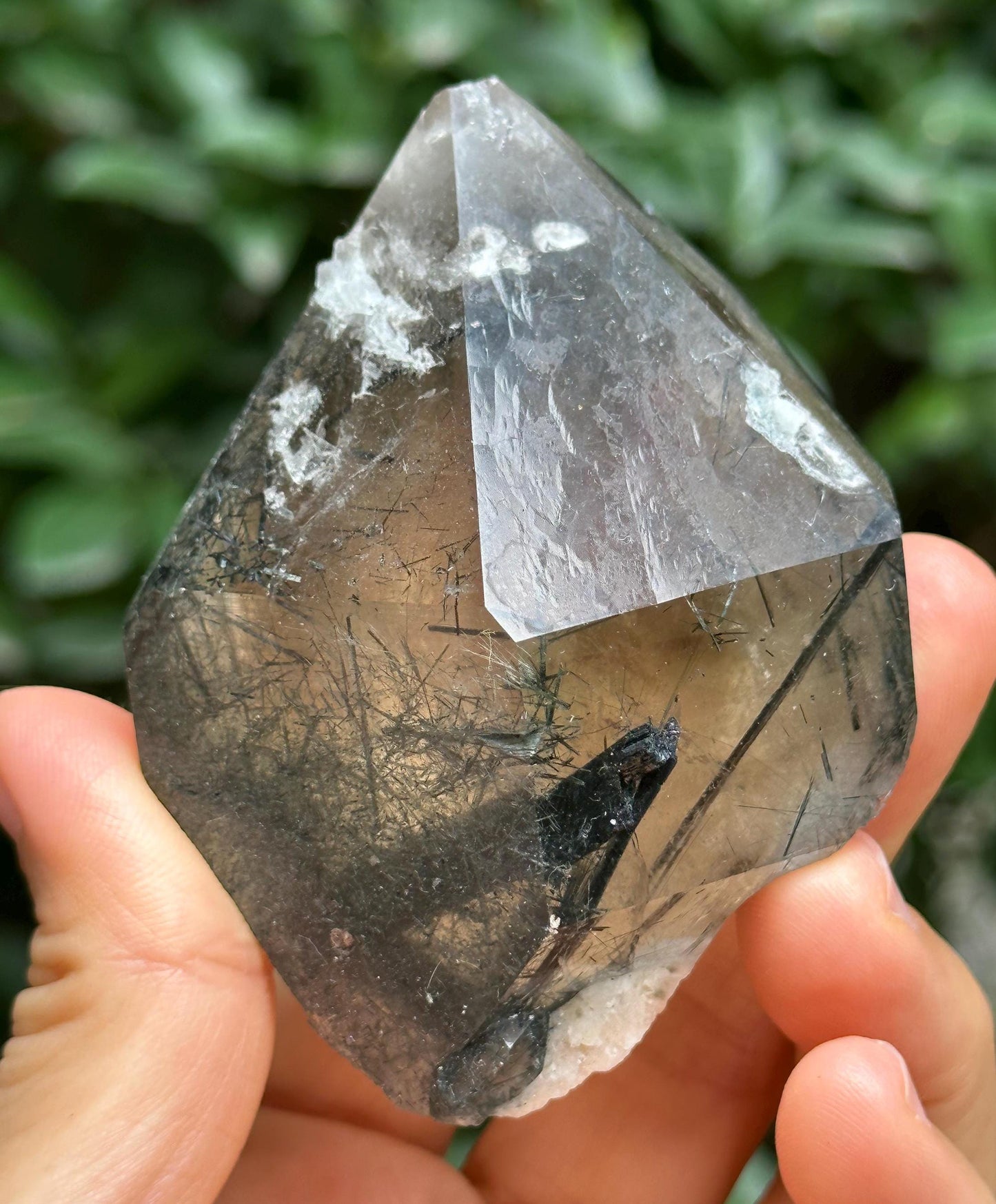 Rare Raw Black Tourmaline Grow With Citrine Quartz Record-keeper Crystal Stone/Rough Tourmaline Specimen/Collection/Meditation/Healing-173 g