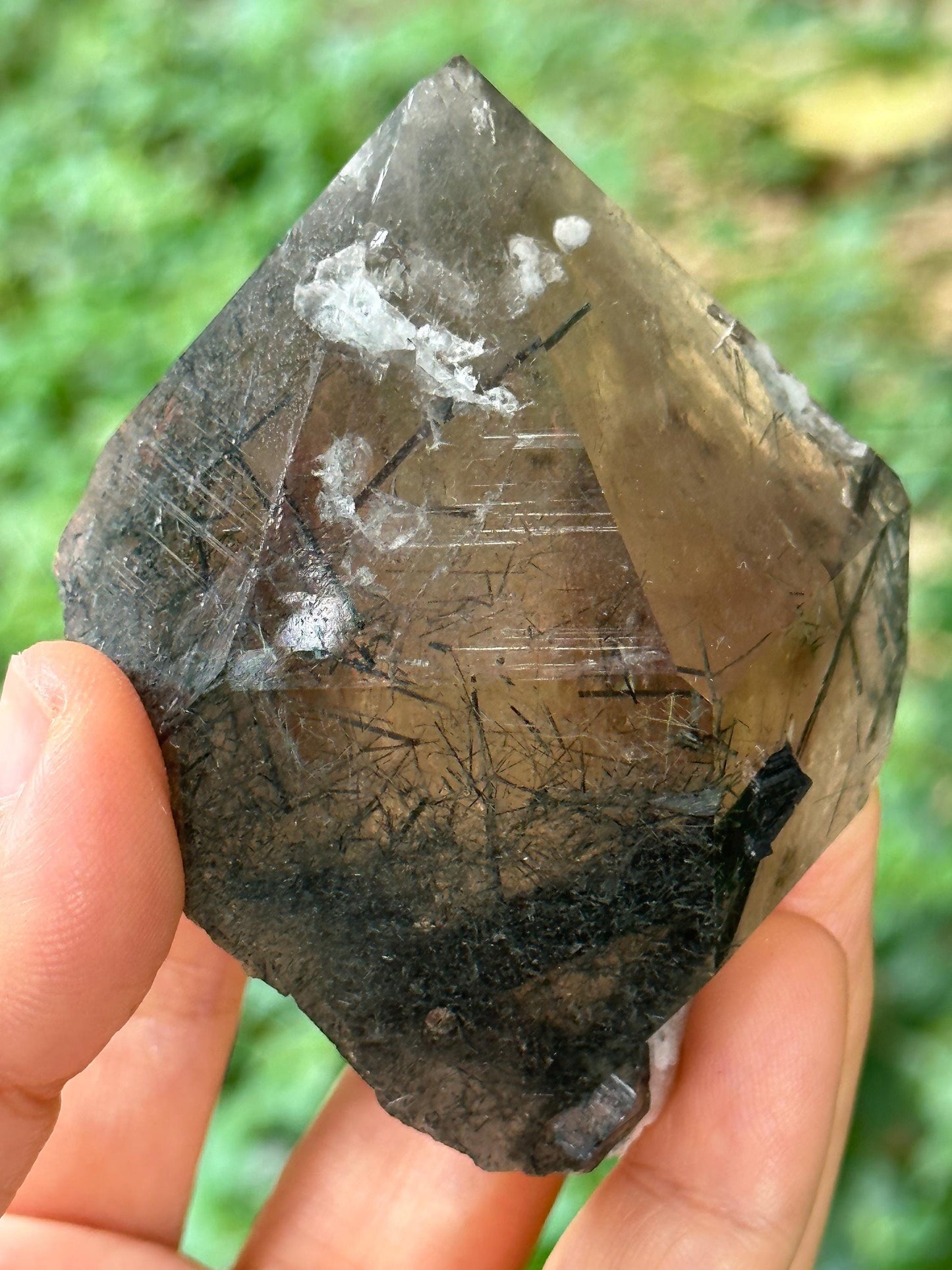 Rare Raw Black Tourmaline Grow With Citrine Quartz Record-keeper Crystal Stone/Rough Tourmaline Specimen/Collection/Meditation/Healing-173 g