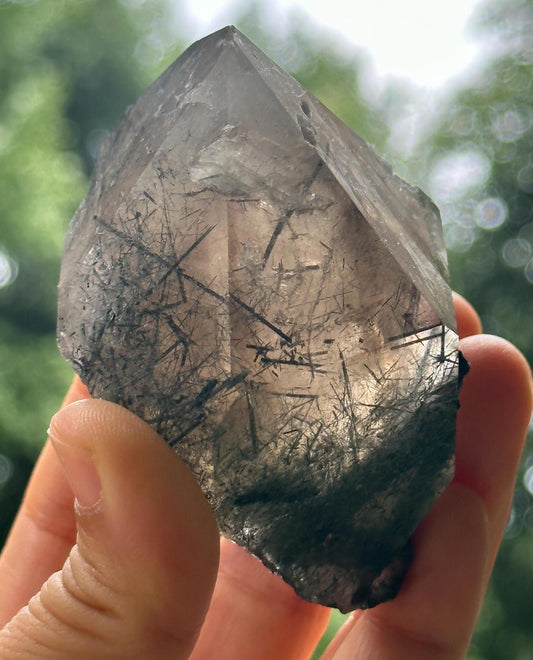 Rare Raw Black Tourmaline Grow With Citrine Quartz Record-keeper Crystal Stone/Rough Tourmaline Specimen/Collection/Meditation/Healing-173 g